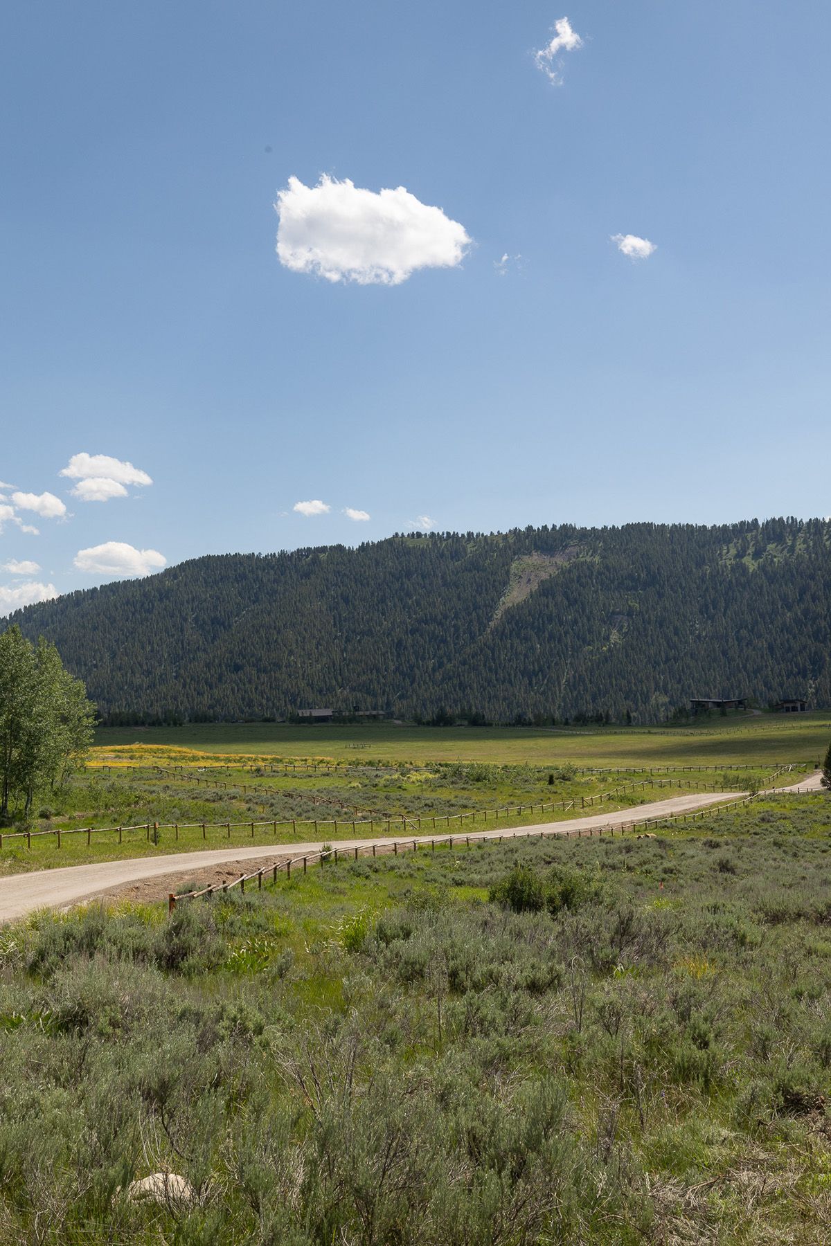  Snake River Sporting Club Lot - 物件實景
