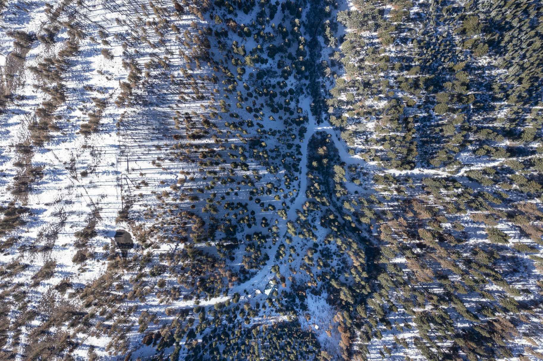  Sierra Sanctuary Lodge on 40 Acres - 物件實景