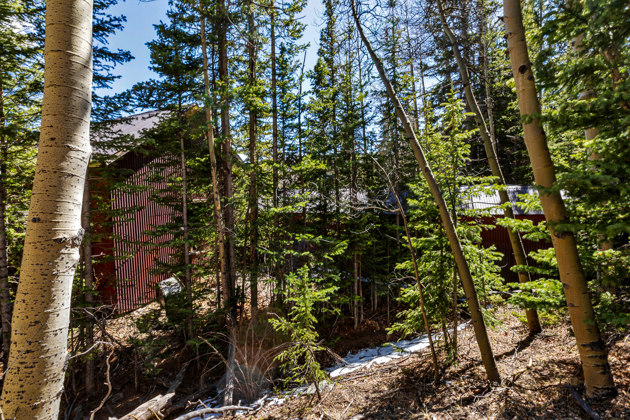  270 Co Rd 667, Alma, CO, 80440 - 物件實景