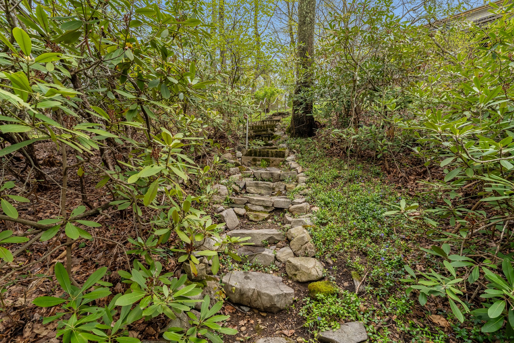  ?Evergreen Cove? Highland Lakes Community Cozy Lakefront Ranch - 物件實景
