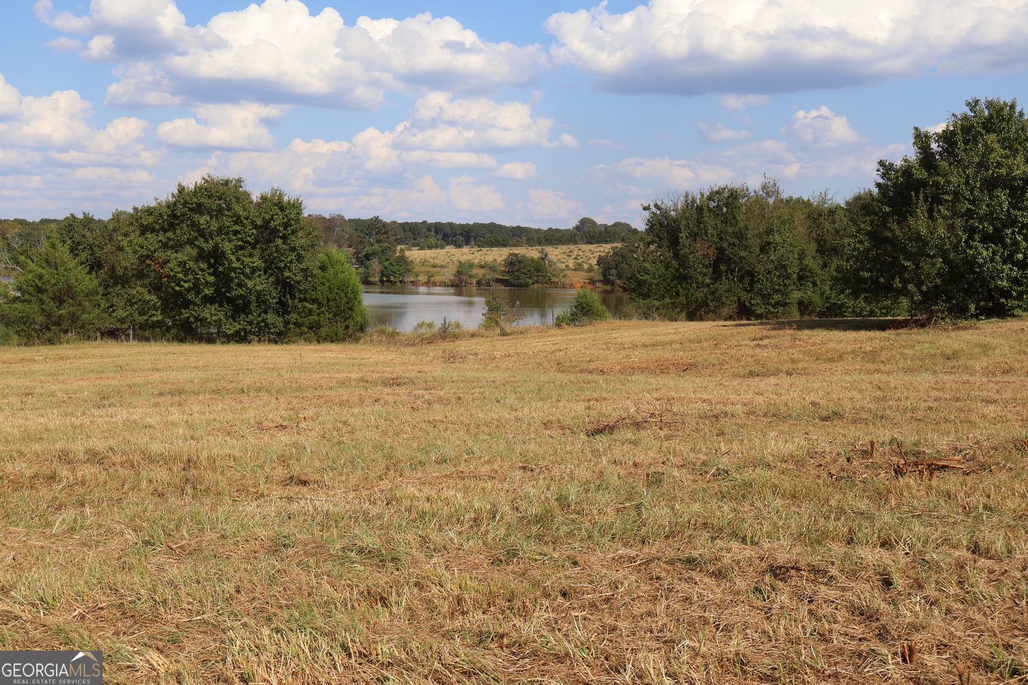 The Rock, Georgia, 30285, United States, ,Land,For Sale,1963371