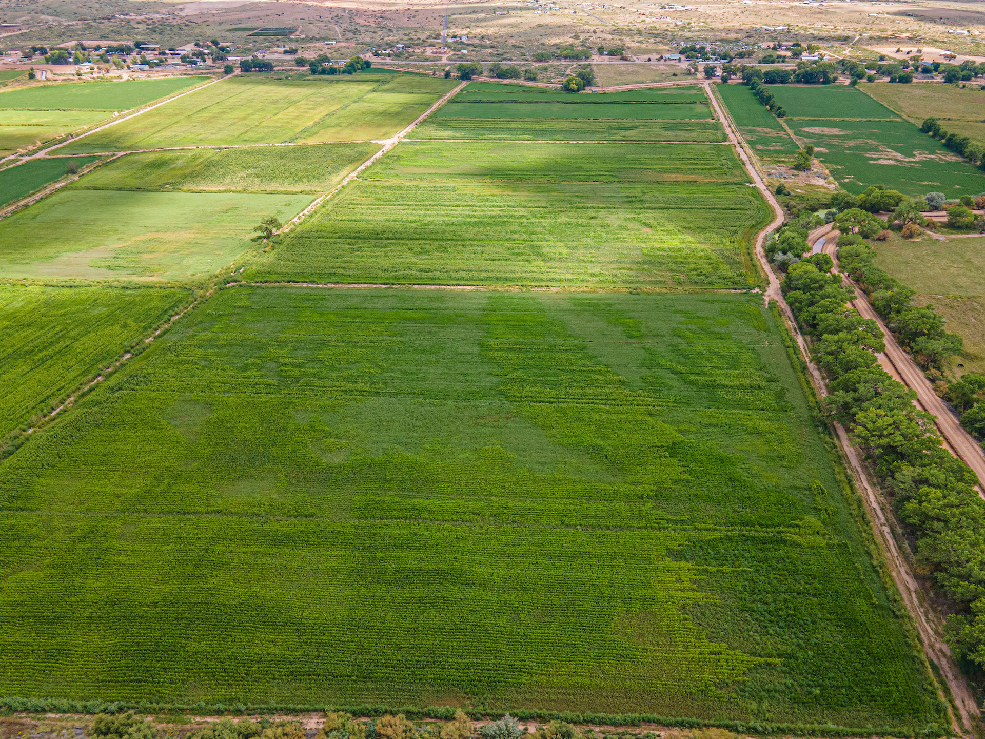 Highway 304, Veguita, New Mexico, 87062, United States, ,Residential,For Sale,Highway 304,1601720
