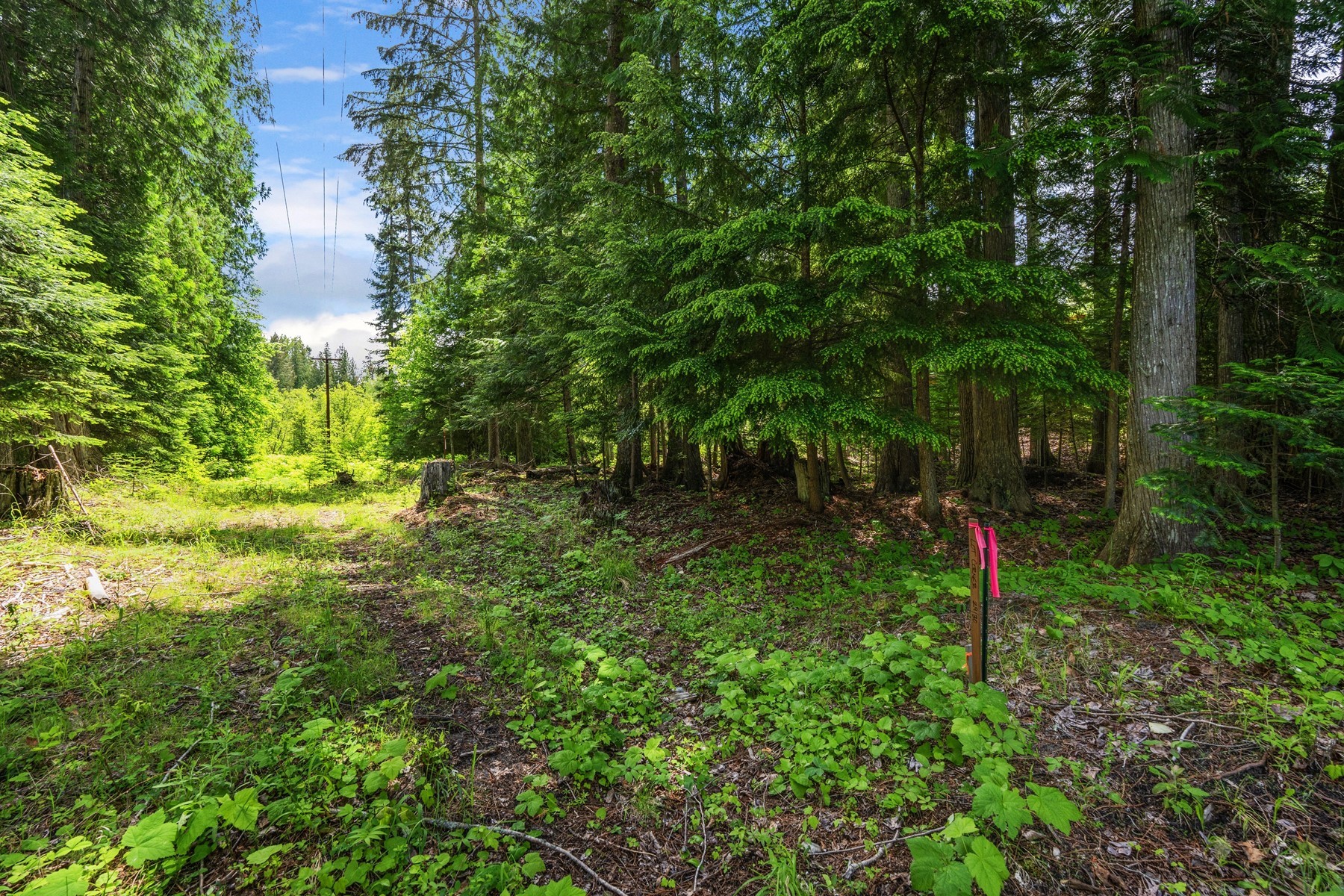  Bruin Rd Priest Lake Idaho - 物件實景