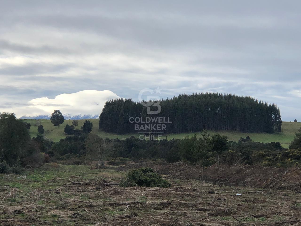 Puerto Varas, Chile, ,Land,For Sale,1917597