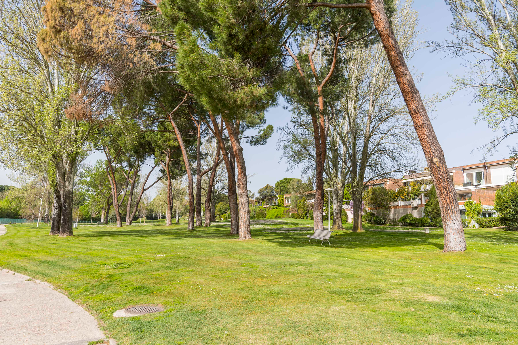  Flat with pool and garden views in Aravaca - 物件實景