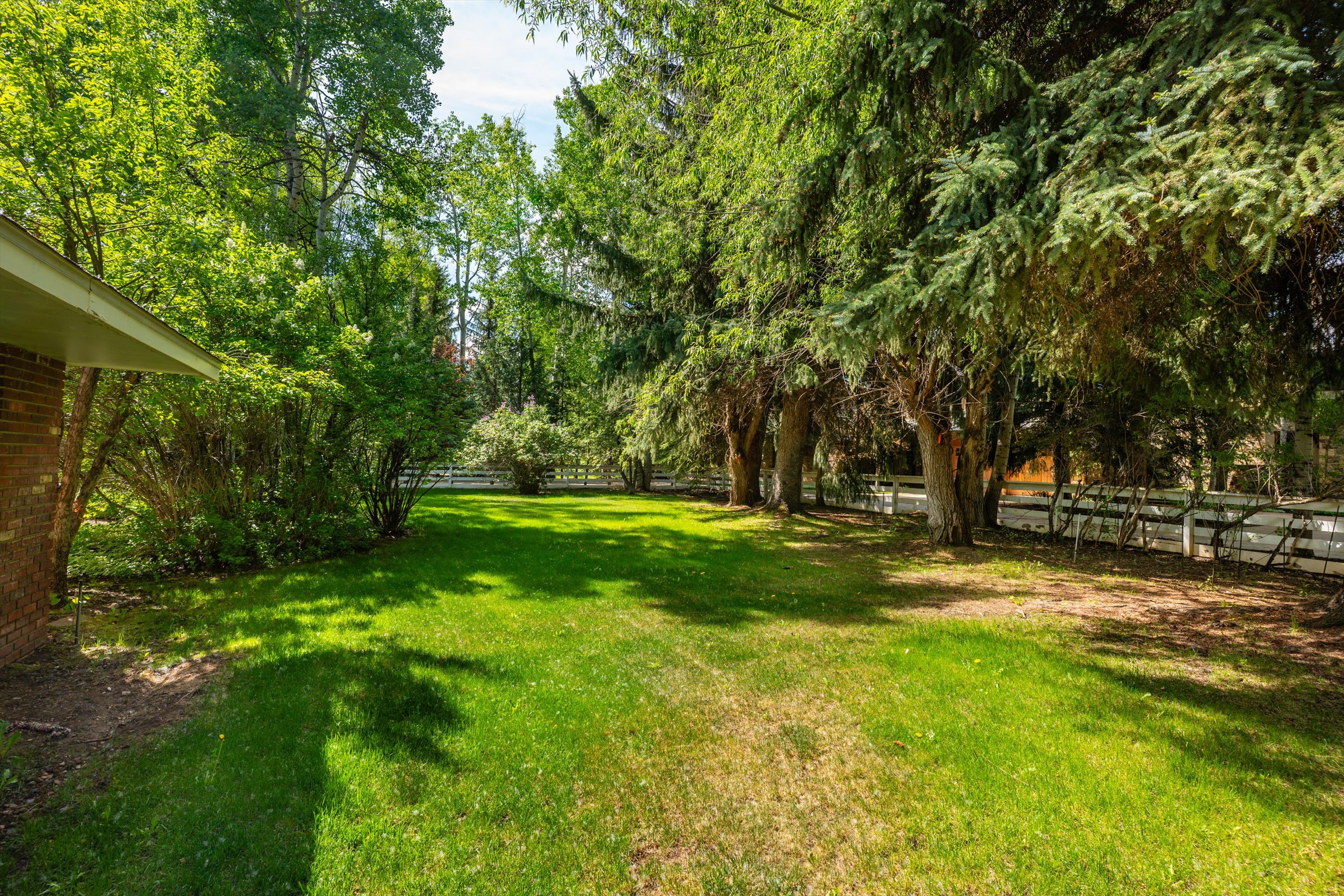  875 Bonita Drive, Aspen, CO 81611 - 物件實景