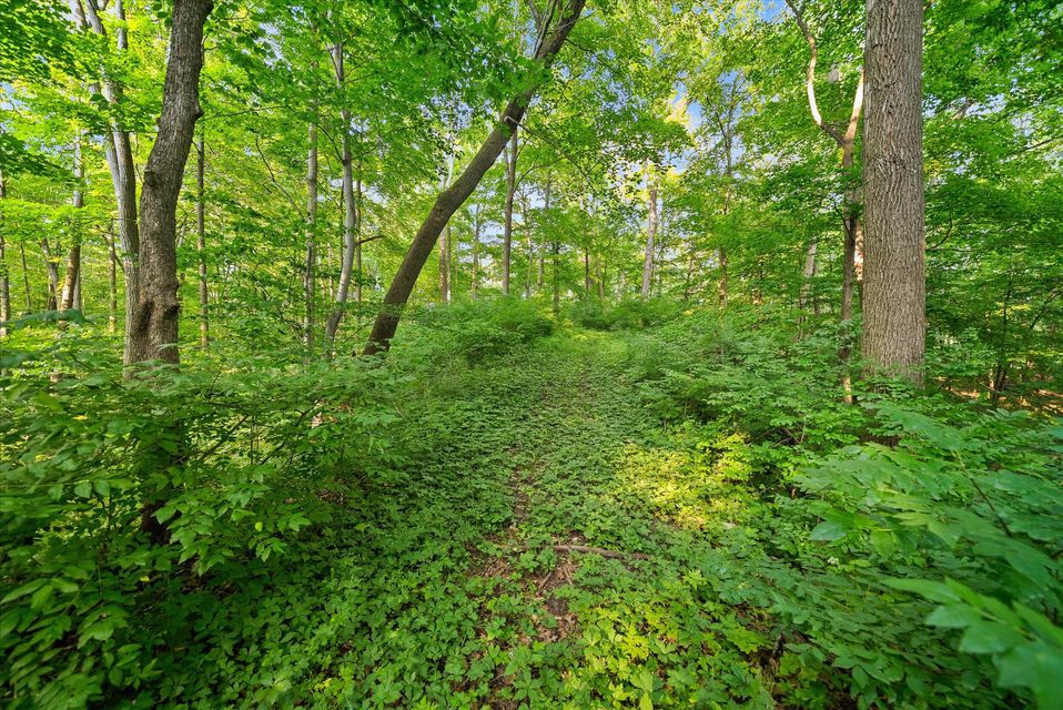 Rhine, Wisconsin, 53020, United States, ,Land,For Sale,1983397