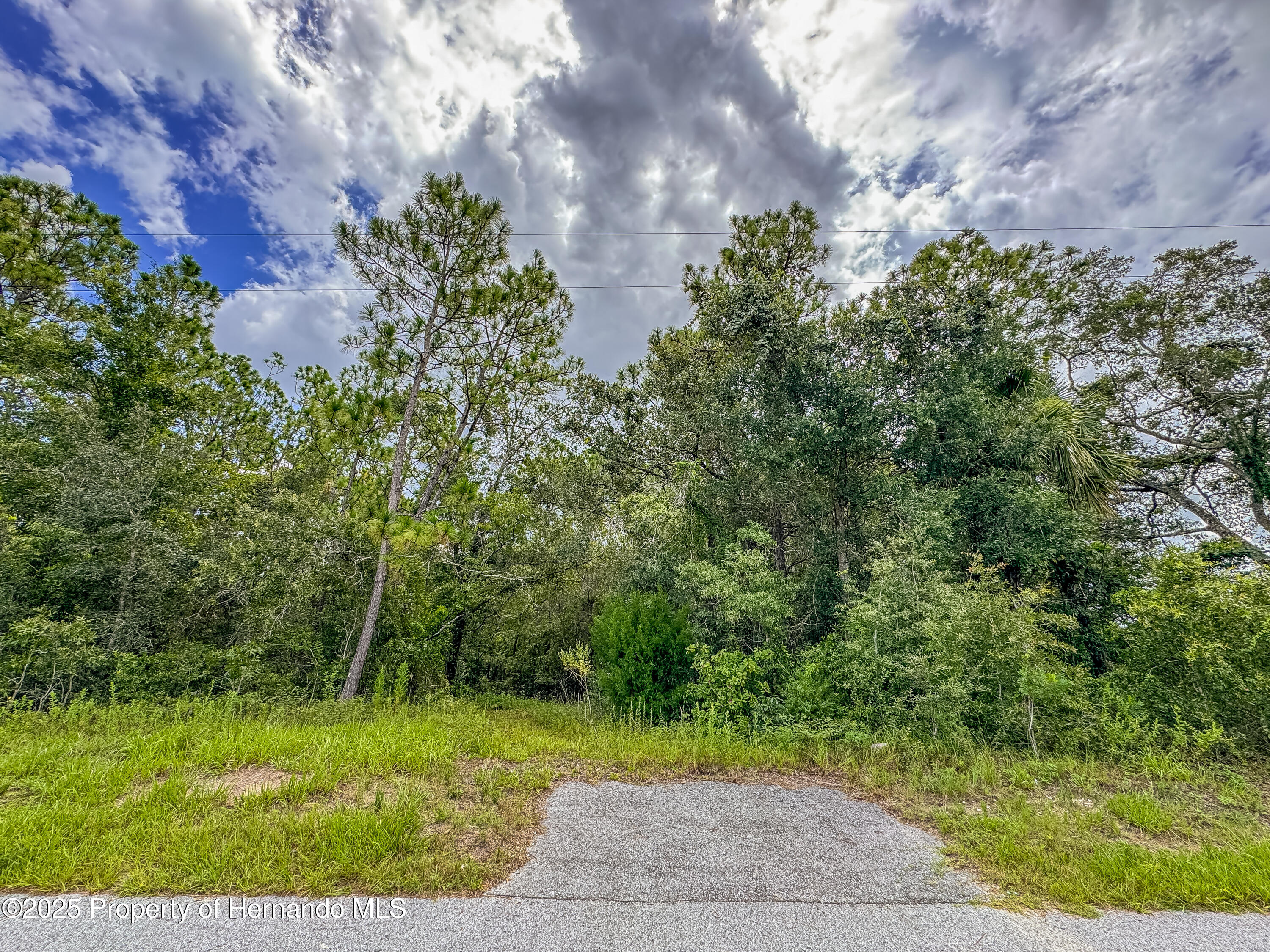 Brooksville, Florida, 34613, United States, ,Land,For Sale,2007460