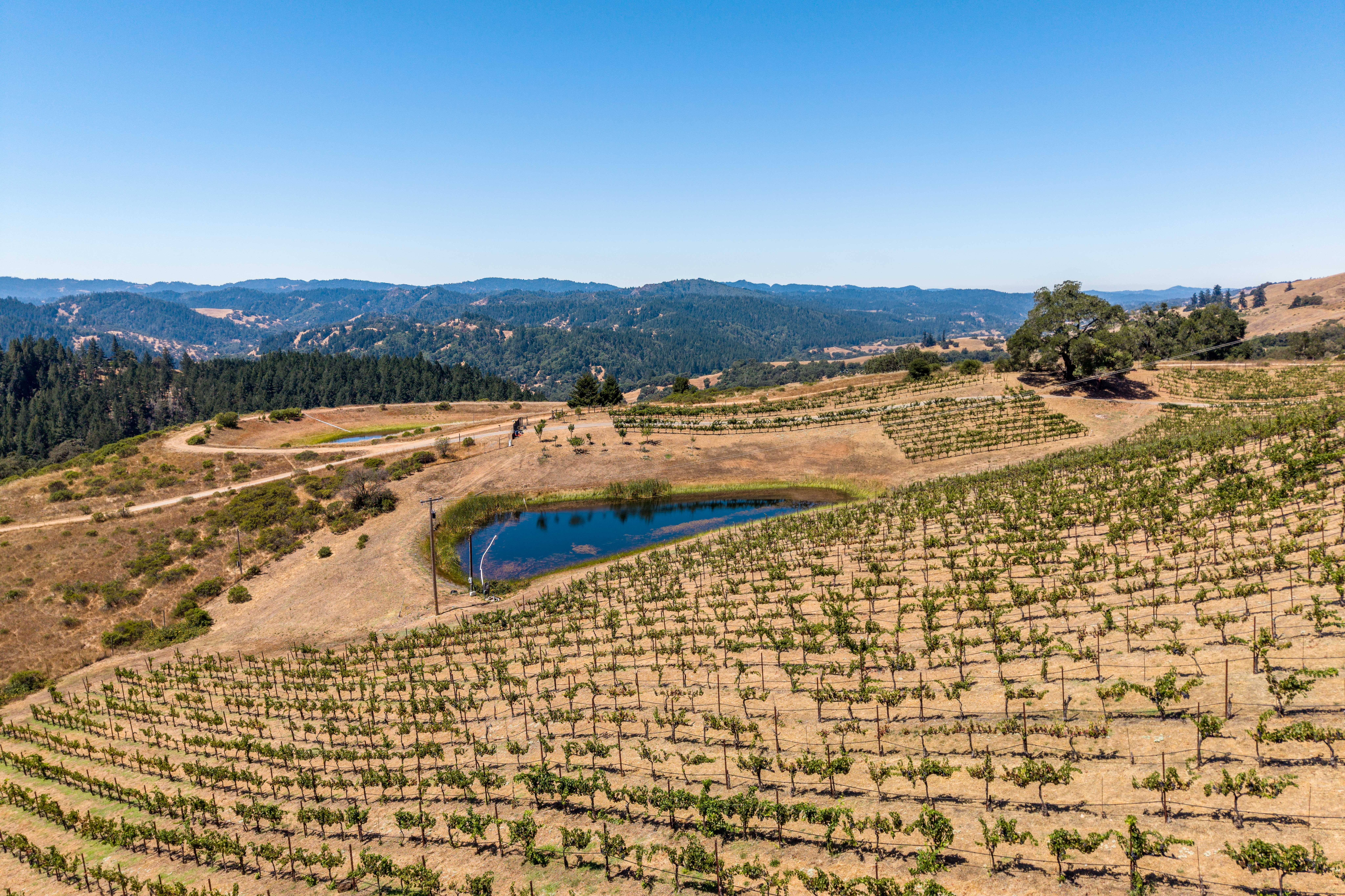  18115 Highlands Ridge Road, Yorkville, CA 95494 - 物件實景