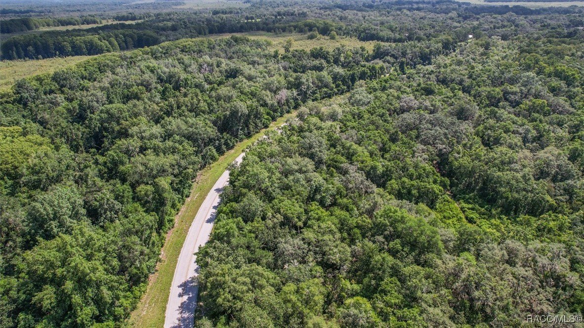 Floral City, Florida, 34436, United States, ,Residential,For Sale,1900732