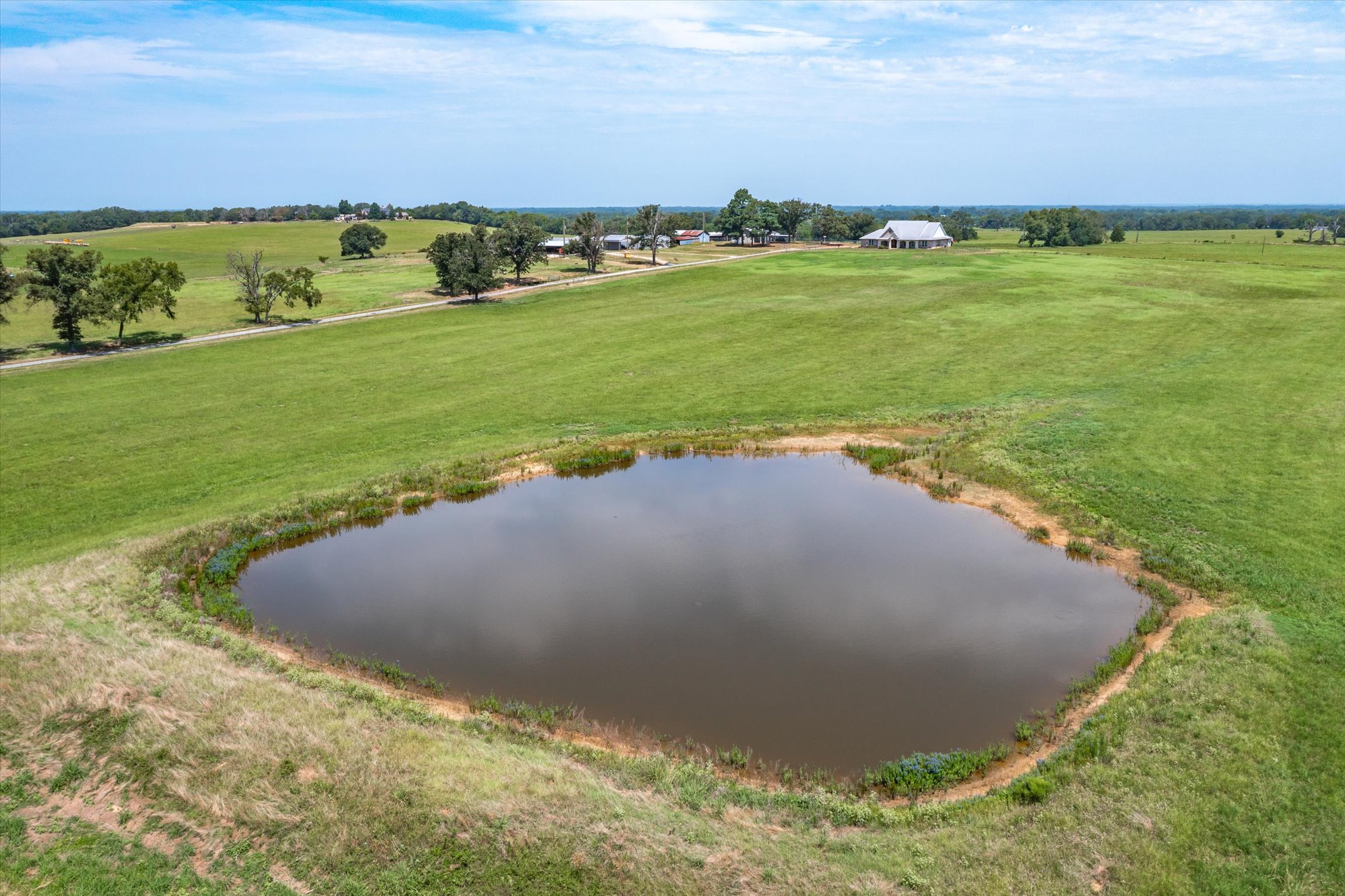 9208 FM 17, Grand Saline, Texas, 75140, United States, 5 Bedrooms Bedrooms, ,6 BathroomsBathrooms,Residential,For Sale,9208 FM 17,1317594
