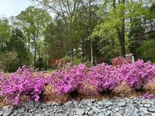Cedar Grove, Tennessee, 38321, United States, 3 Bedrooms Bedrooms, ,3 BathroomsBathrooms,Residential,For Sale,1795331