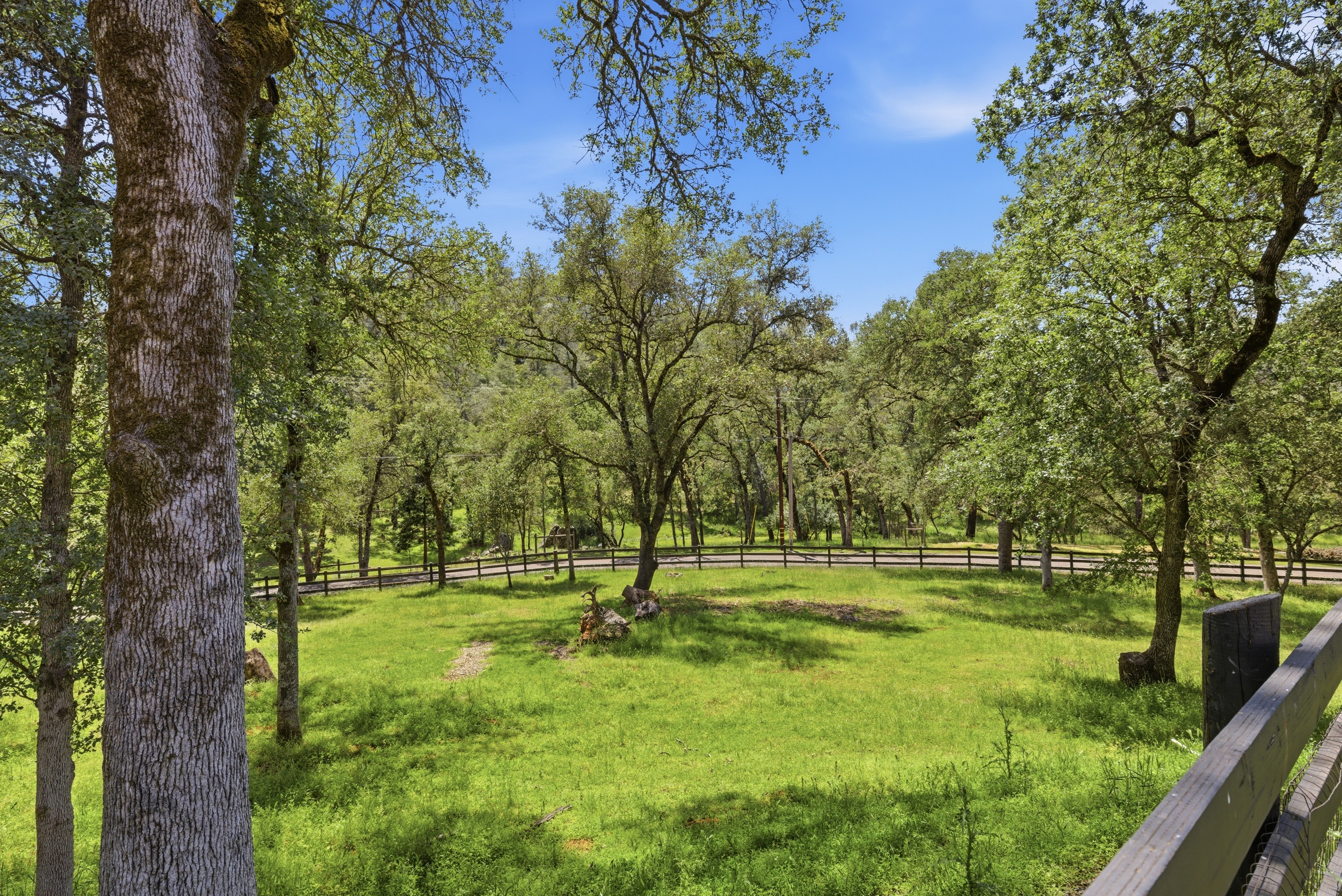  1400 Crooked Mile Court, Placerville, CA 95667 - 物件實景