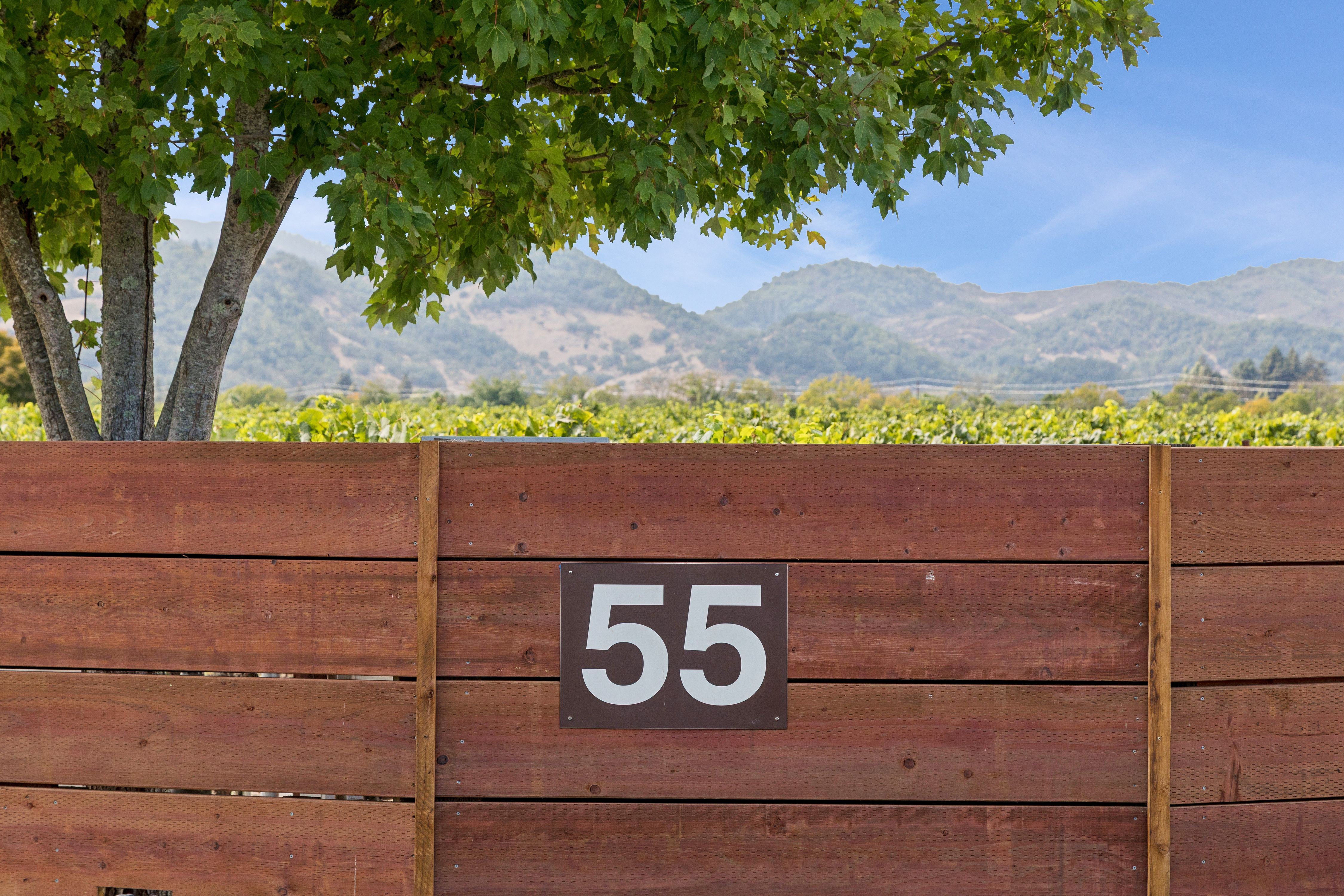  Extraordinary Napa Valley Estate - 物件實景