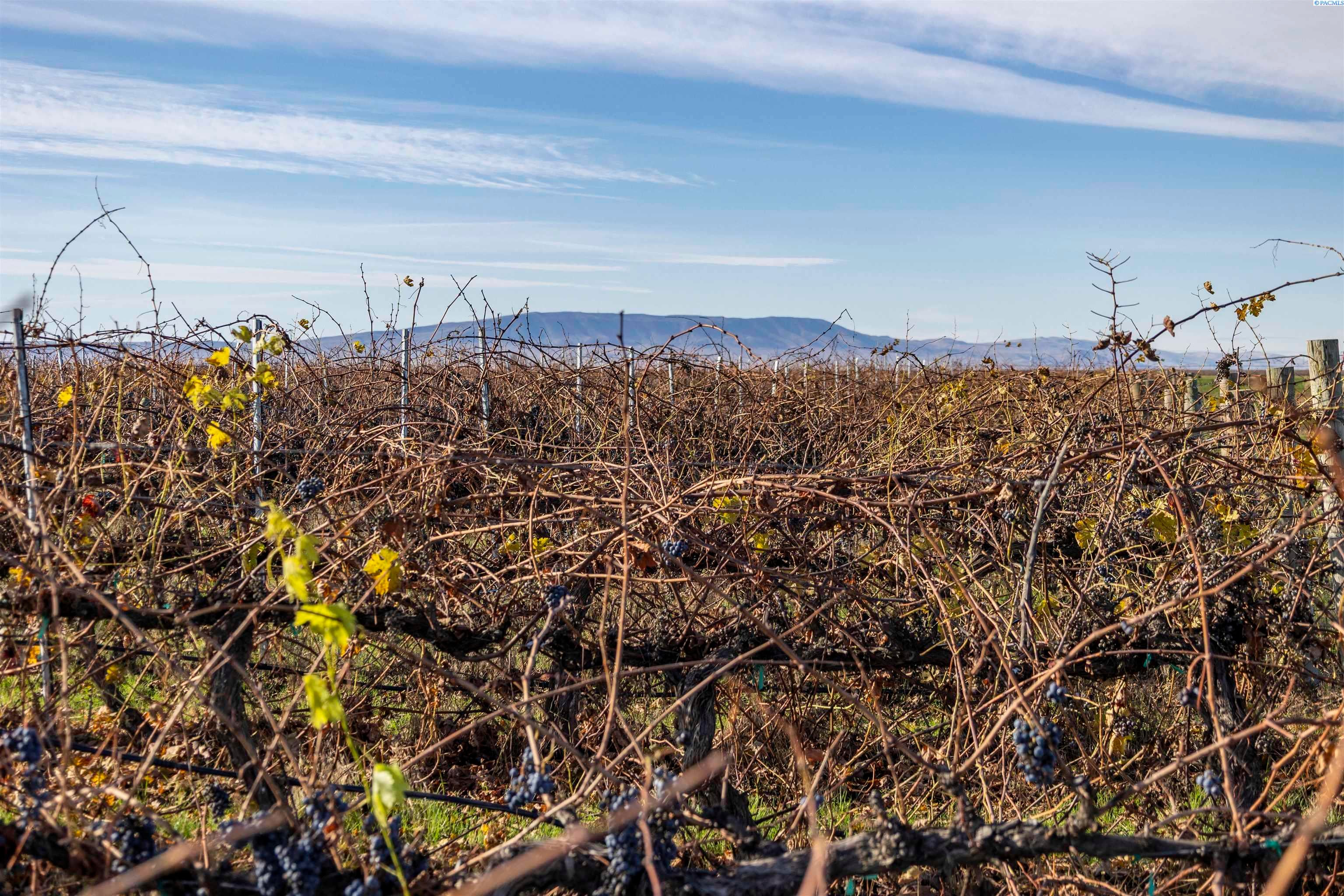 Pasco, Washington, 99301, United States, 2 Bedrooms Bedrooms, ,1 BathroomBathrooms,Residential,For Sale,1997990