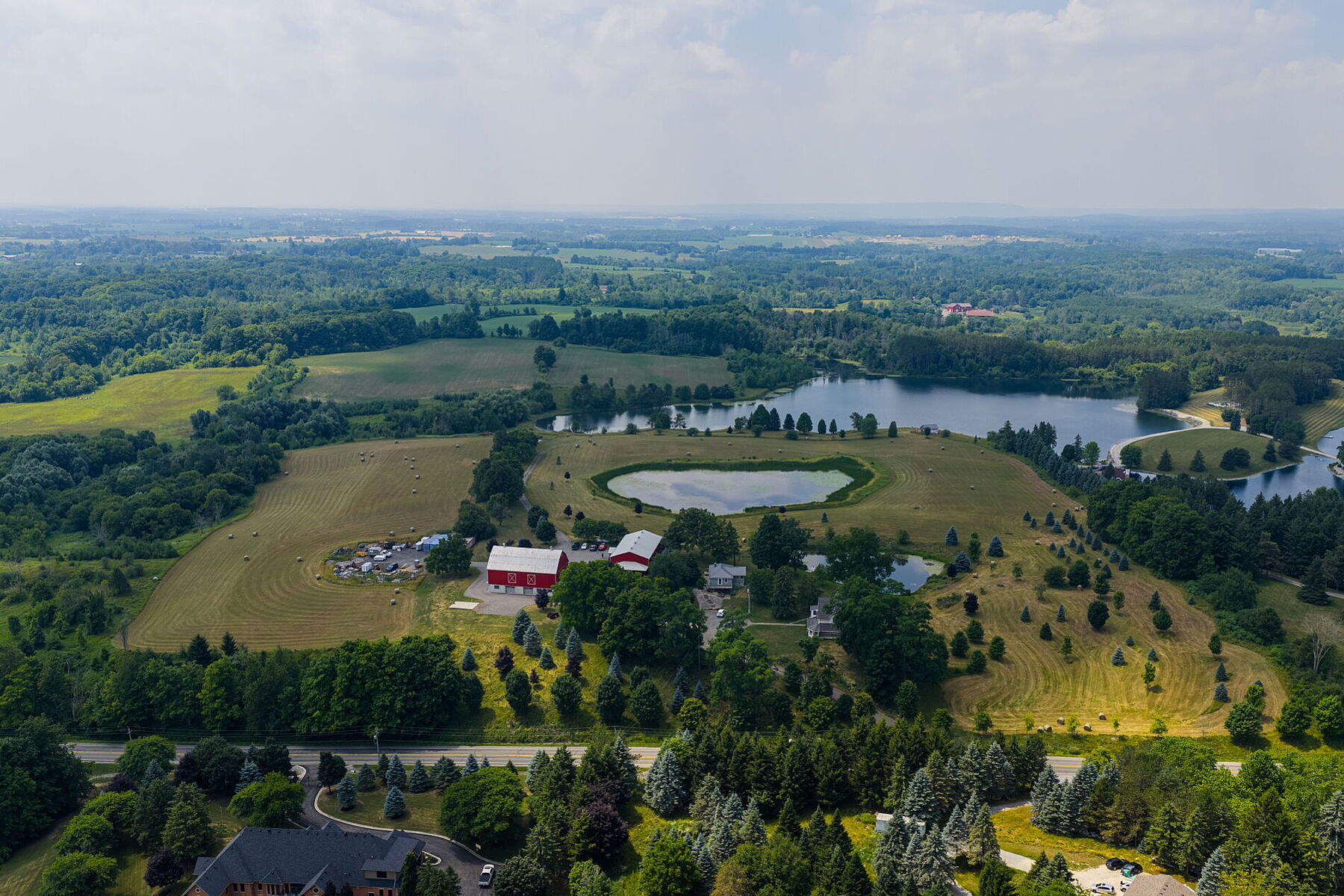  96-acre Farm Estate - 物件實景