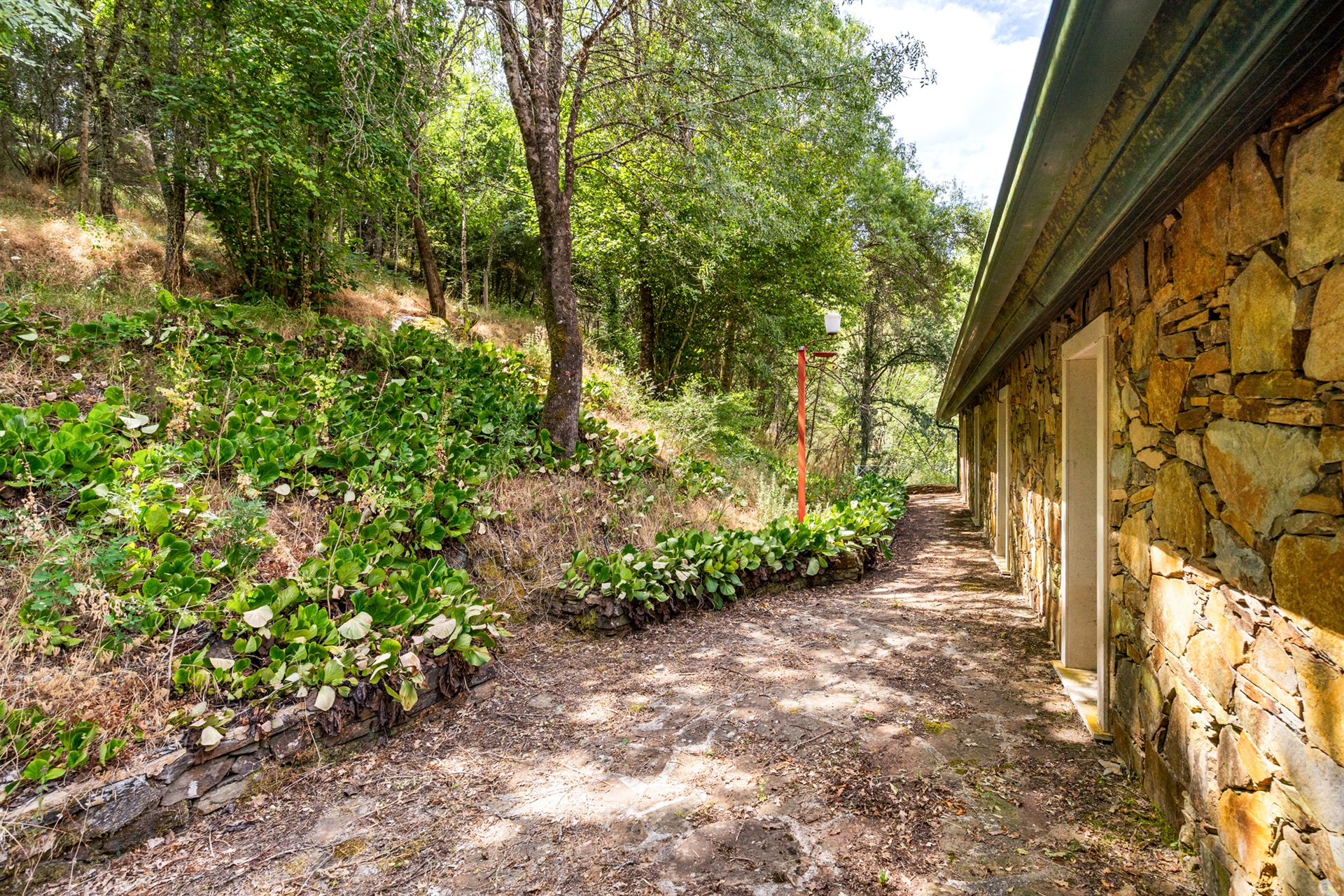  Farm, 5 bedrooms, for Sale - 物件實景