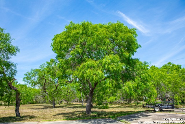 2618 N Armstrong Street, Kingsville, Texas, 78363, United States, 4 Bedrooms Bedrooms, ,5 BathroomsBathrooms,Residential,For Sale,2618 N Armstrong Street,1628223