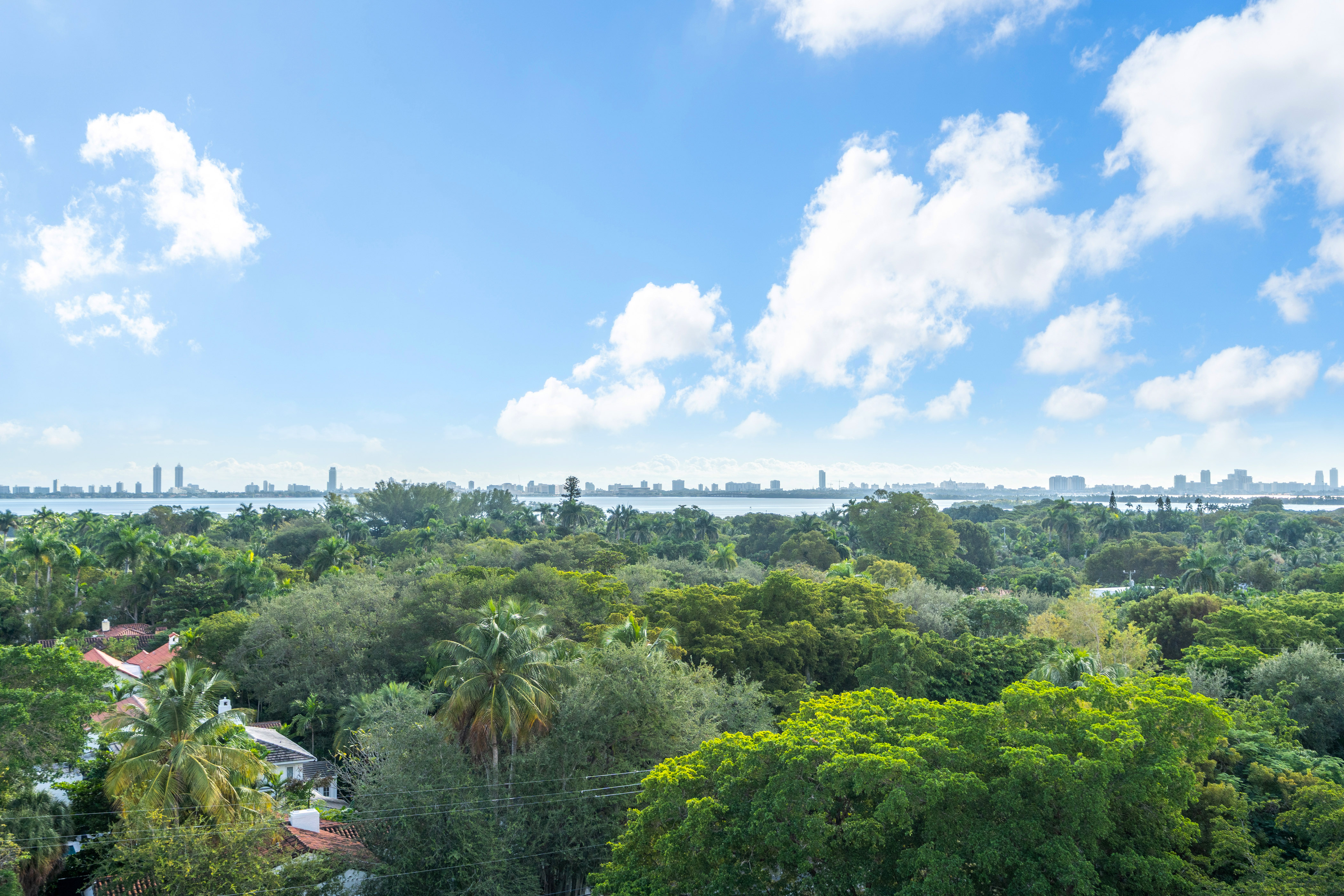  300 Collins Ave, Miami Beach, FL, 33139 - 物件實景