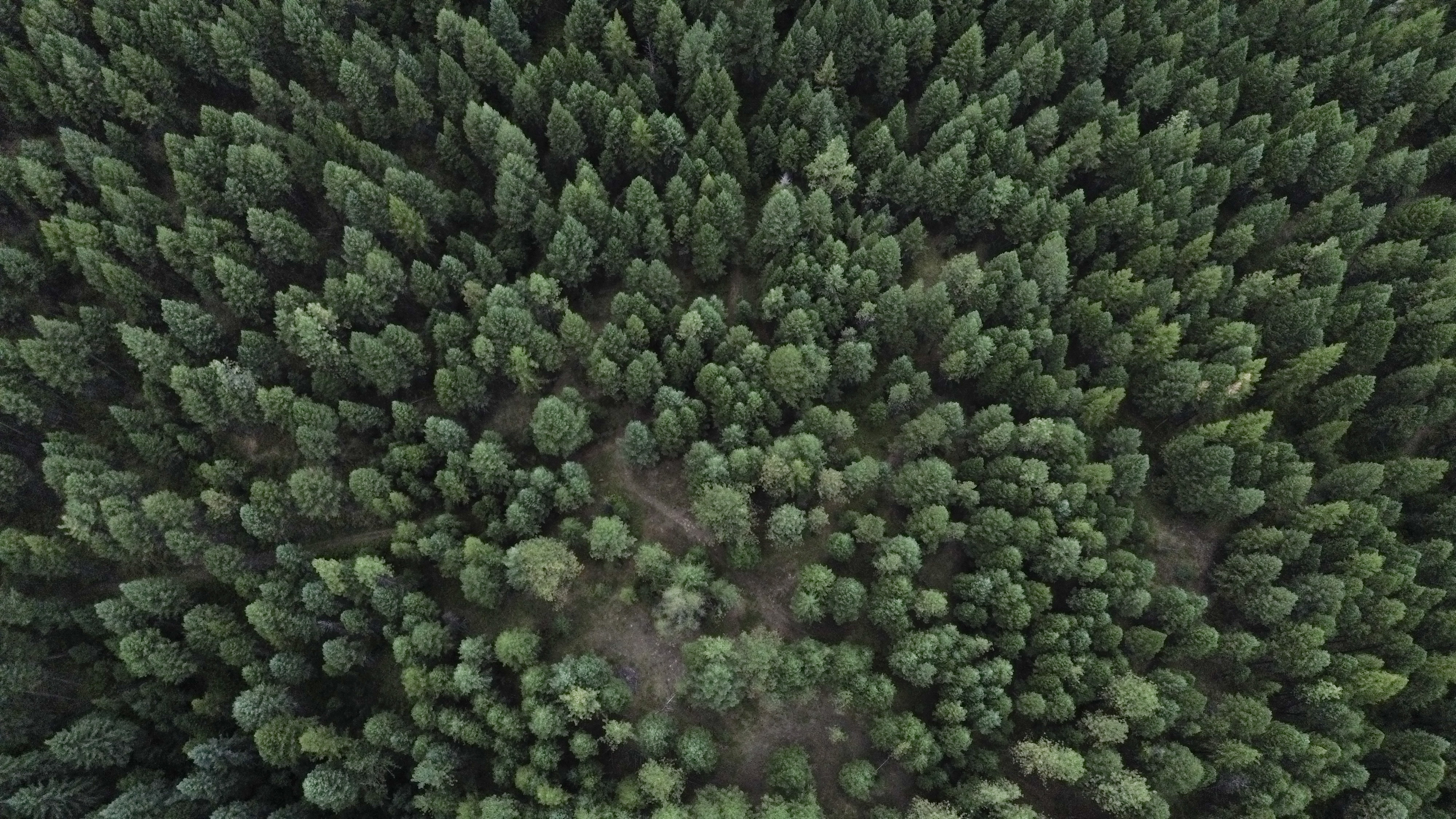 Republic, Washington, 99166, United States, 3 Bedrooms Bedrooms, ,3 BathroomsBathrooms,Residential,For Sale,1976903