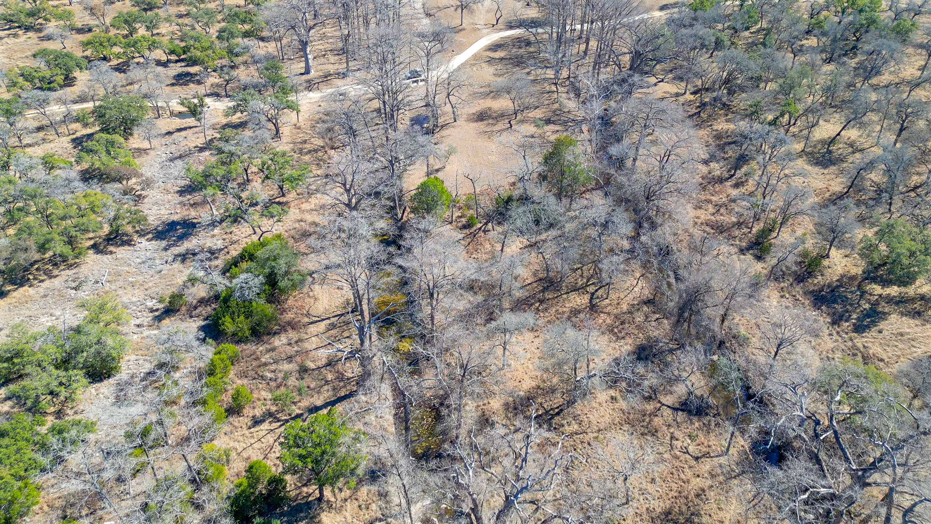  Cypress Island Ranch in Blanco County - 物件實景