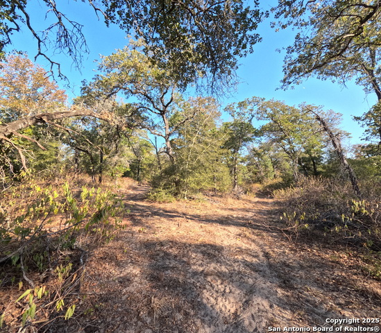 Seguin, Texas, 78155, United States, ,2 BathroomsBathrooms,Residential,For Sale,1983192