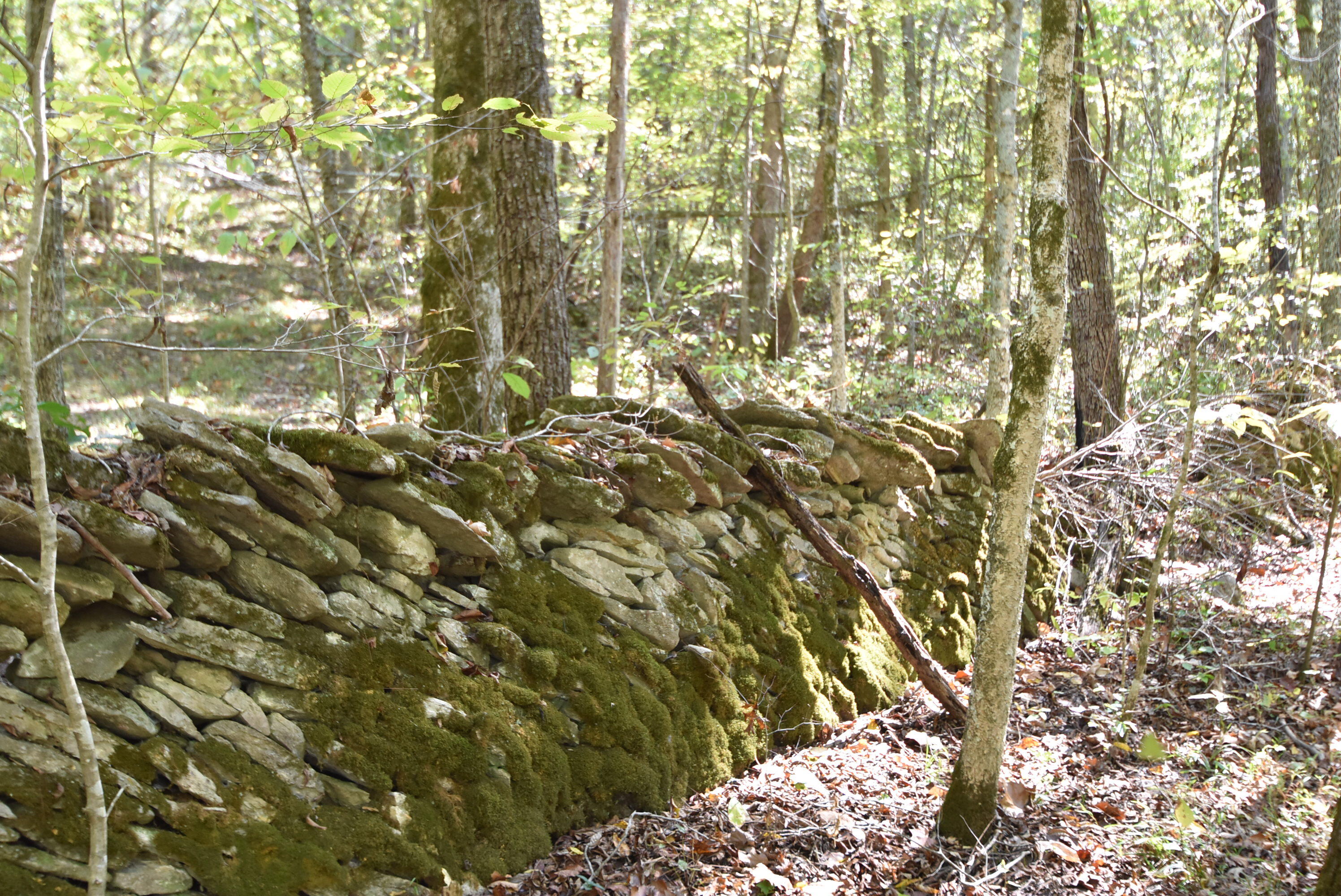 Willisburg, Kentucky, 40078, United States, 4 Bedrooms Bedrooms, ,1 BathroomBathrooms,Residential,For Sale,1962831