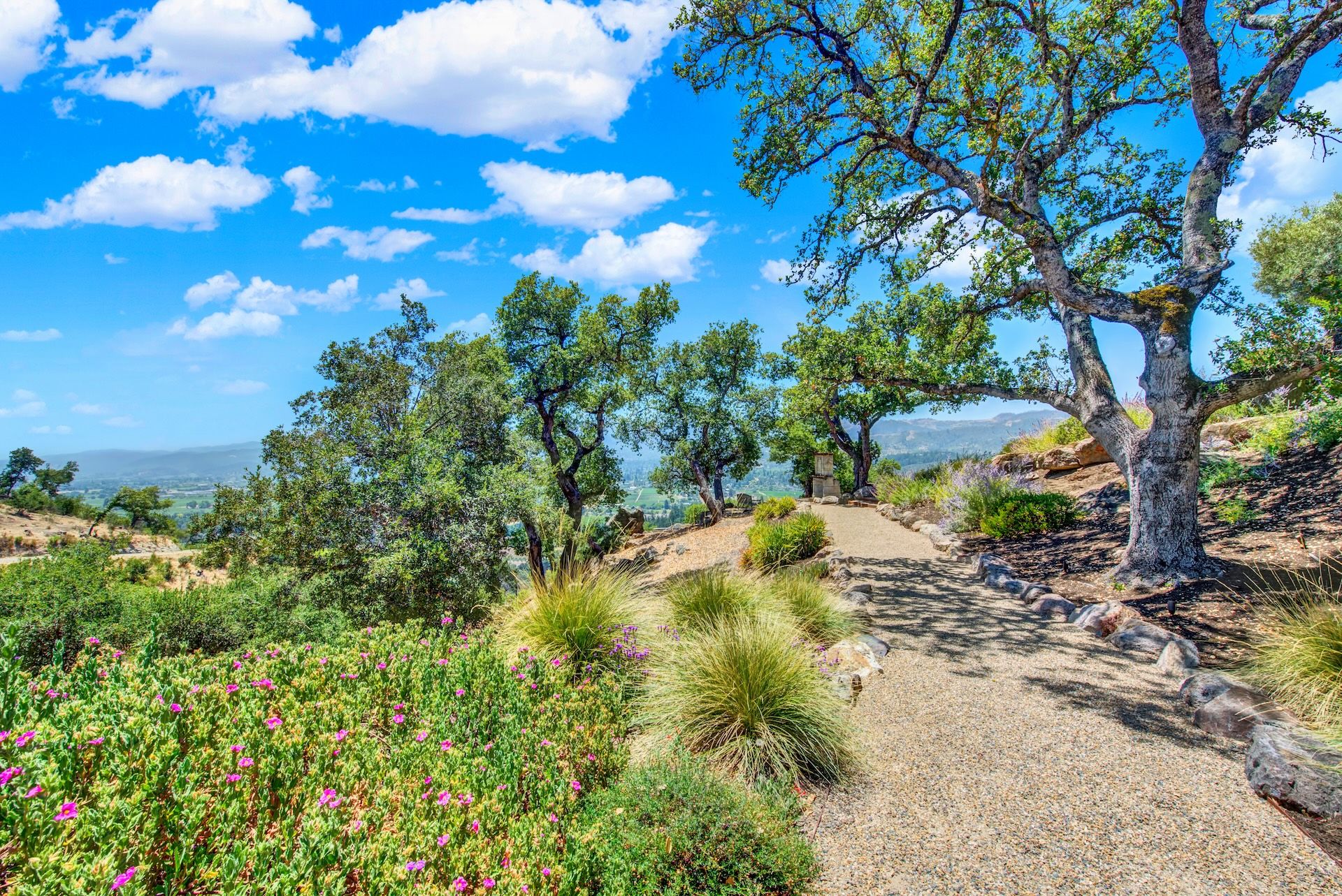 Exceptional Napa Valley Estate Set On 40 Private Acres - 物件實景
