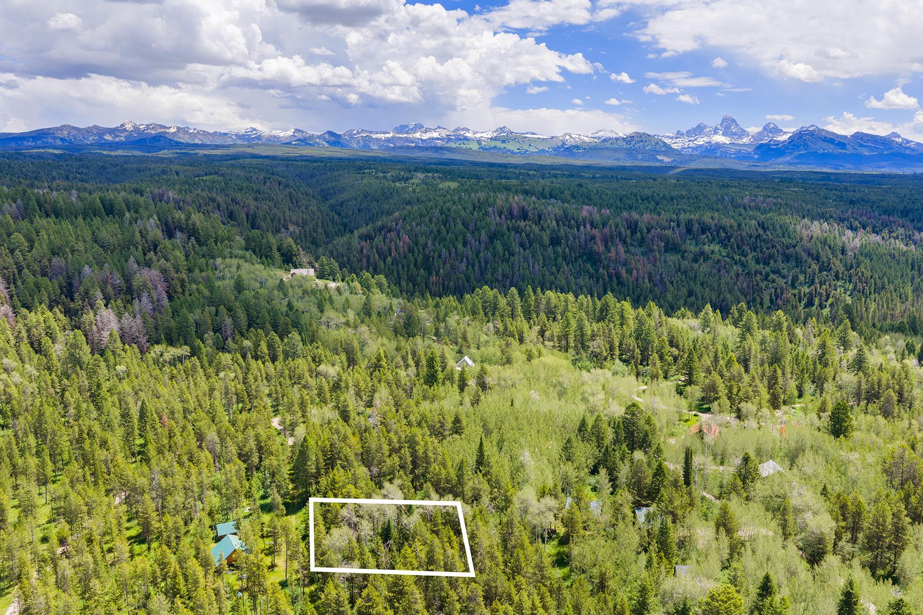  The Woodland at Grand Teton Estates - 物件實景