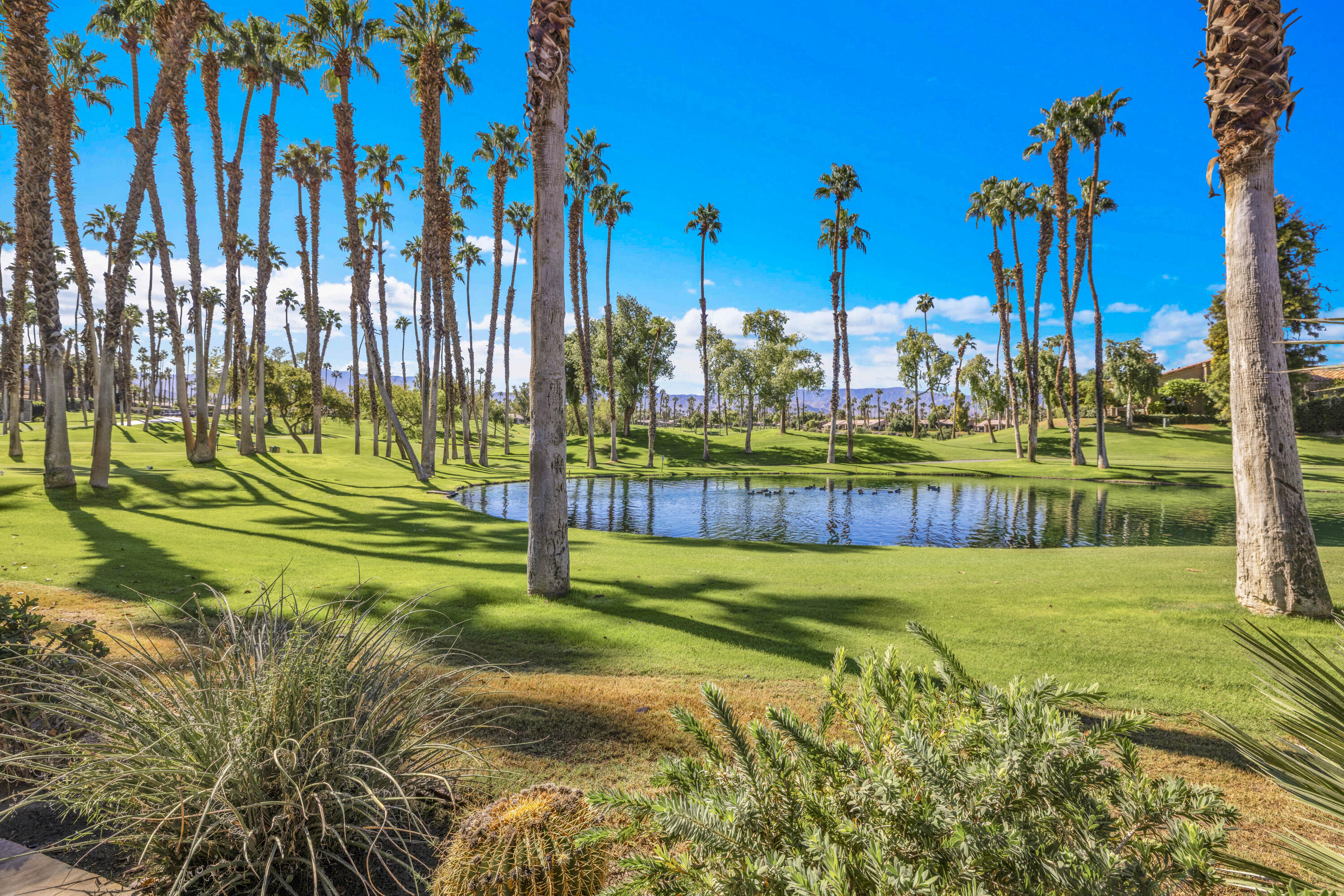 Palm Desert, California, 92211, United States, 3 Bedrooms Bedrooms, ,2 BathroomsBathrooms,Residential,For Sale,1986509