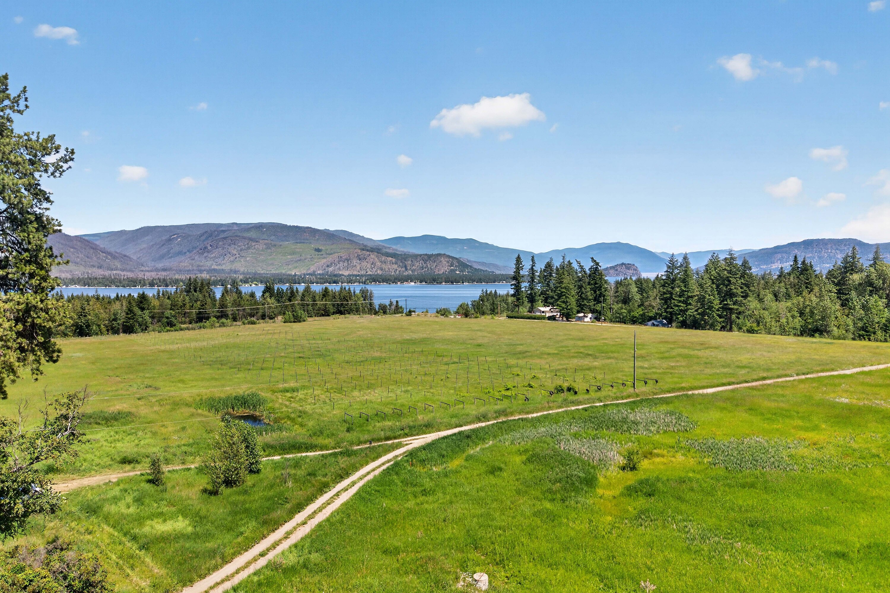  158 Acre Lakeview Homestead - 物件實景