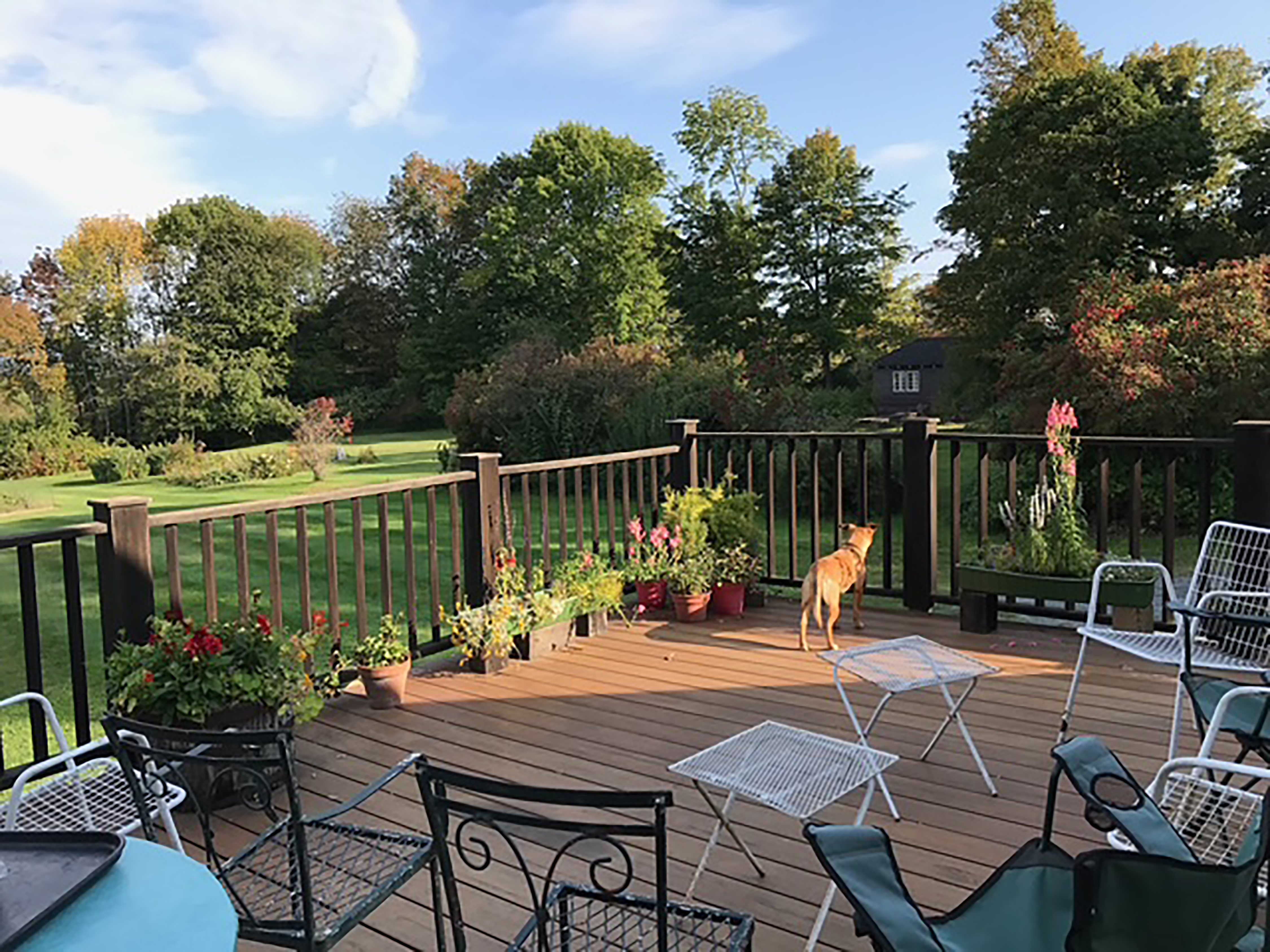  85 Academy Road - 物件實景