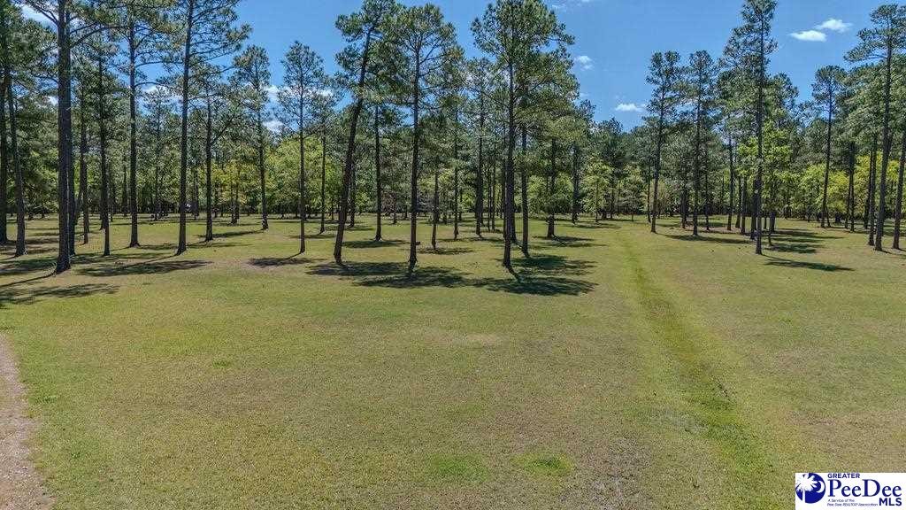 1315 Hill Harrell Road, Effingham, South Carolina, 29541-3179, United States, ,Land,For Sale,1315 Hill Harrell Road,1501598