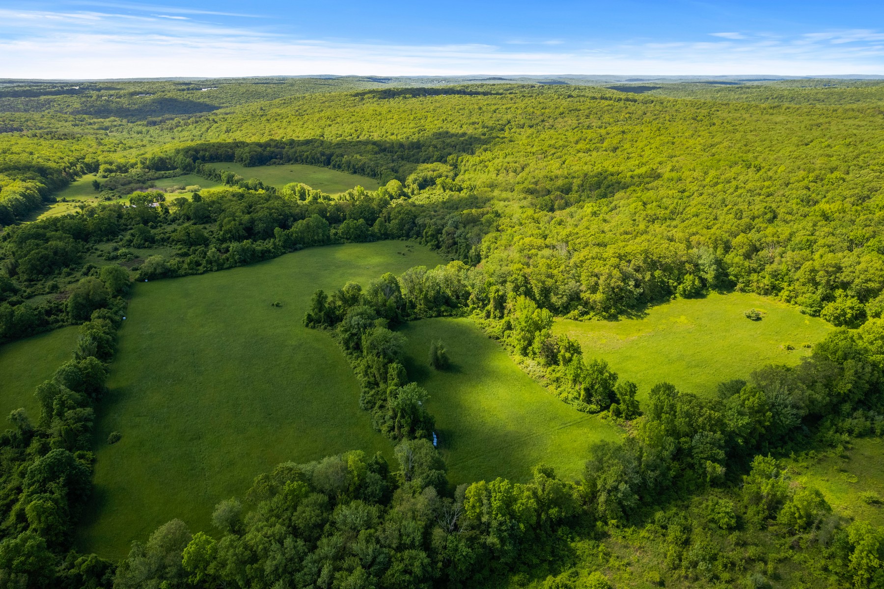  426.5 Beautiful Acres, Ready to Be Developed - 物件實景