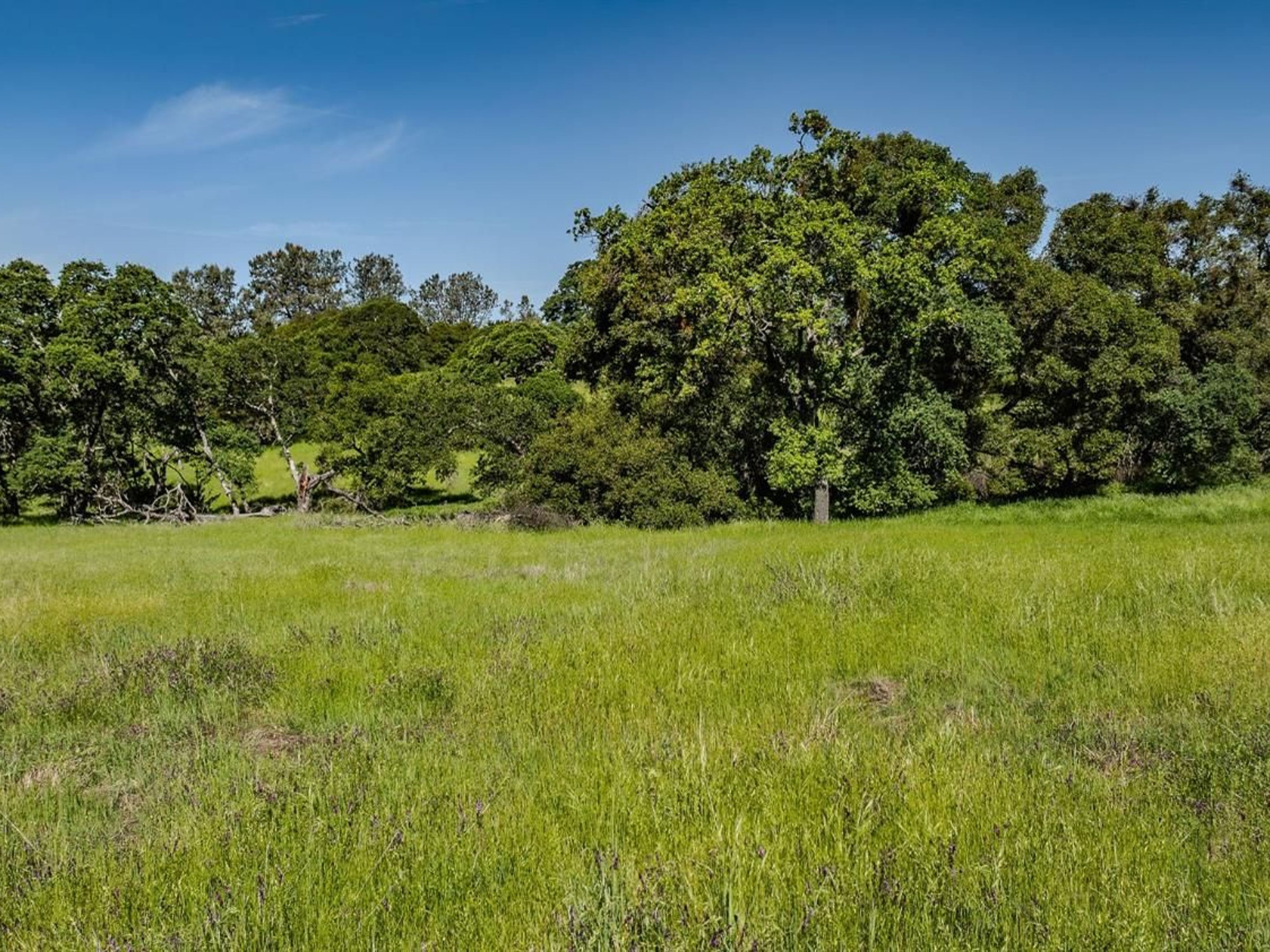  10865 Sunset Drive, Sutter Creek, CA 95685 - 物件實景