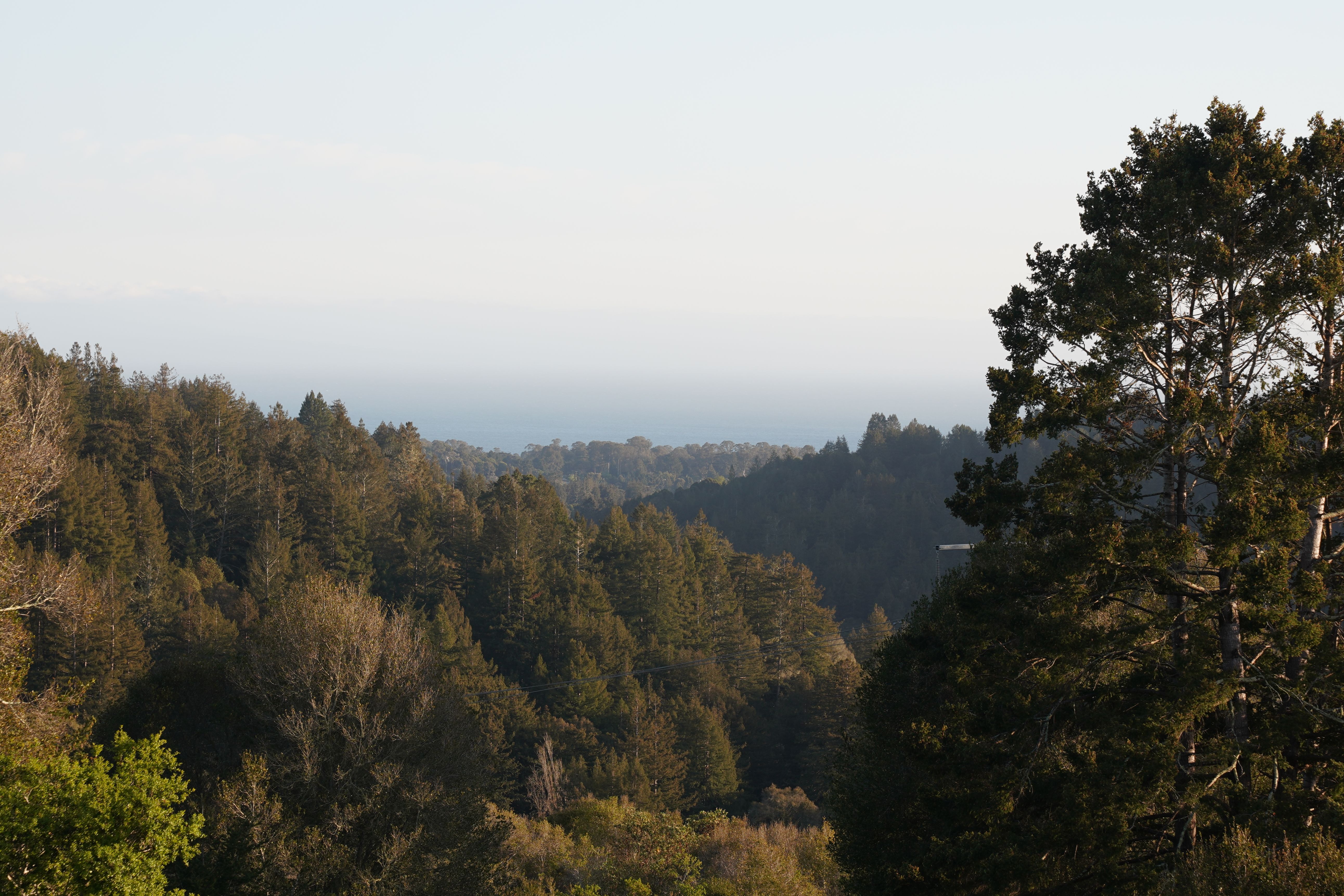  700 Valencia School Road, Aptos, CA 95003 - 物件實景