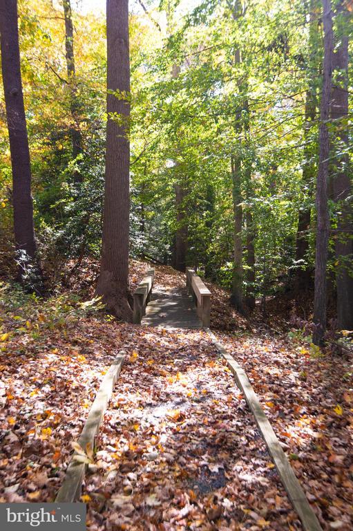 Denton, Maryland, 21629, United States, 4 Bedrooms Bedrooms, ,3 BathroomsBathrooms,Residential,For Sale,1992998