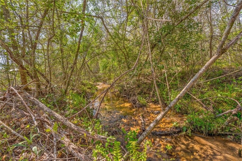 Mccaysville, Georgia, 30555, United States, ,Land,For Sale,1974872