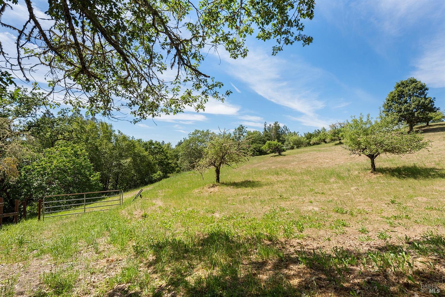 Forestville, California, 95436, United States, 4 Bedrooms Bedrooms, ,3 BathroomsBathrooms,Residential,For Sale,1796757