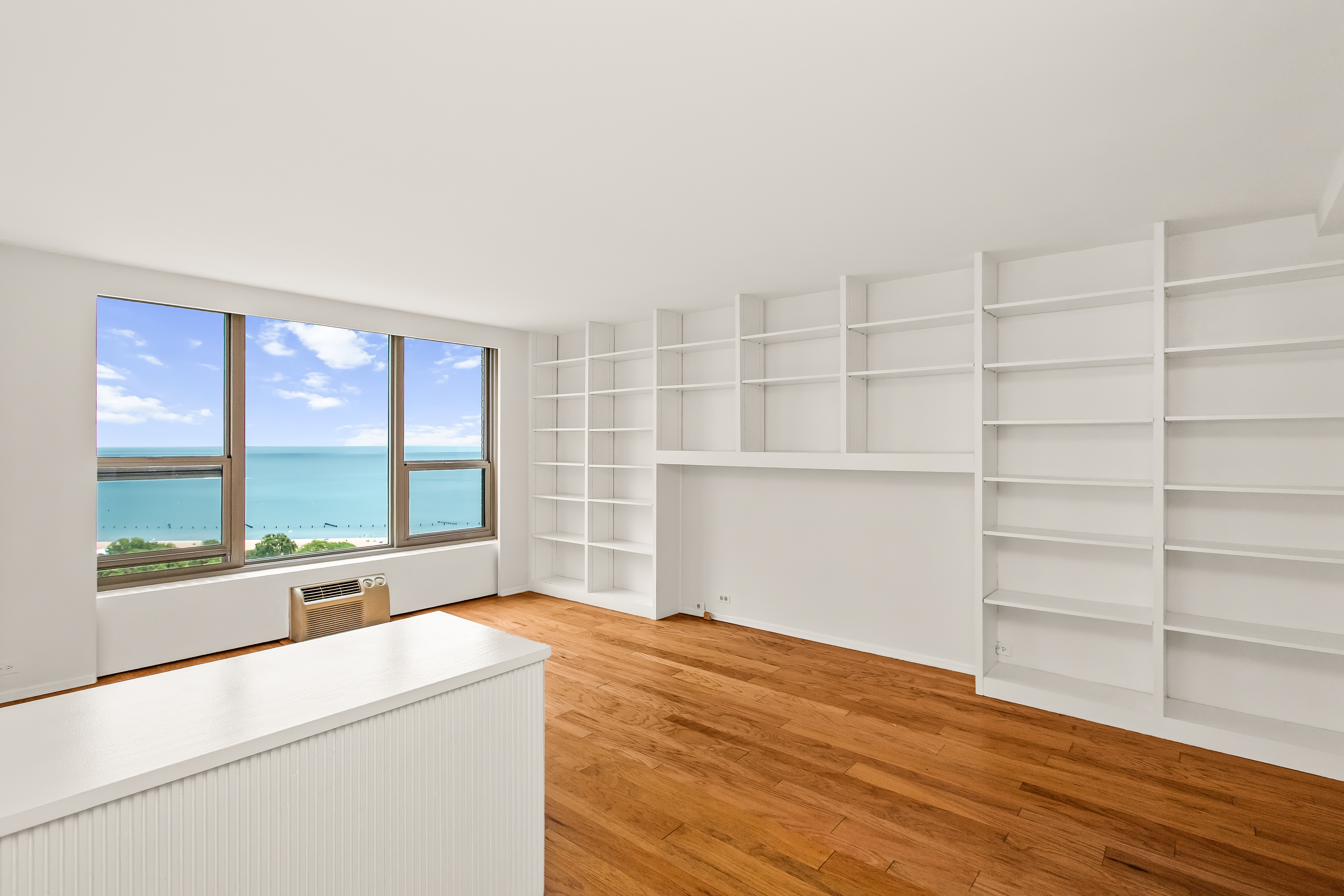  Breathtaking Views of Lake Michigan and Lincoln Park from Every Angle - 物件實景