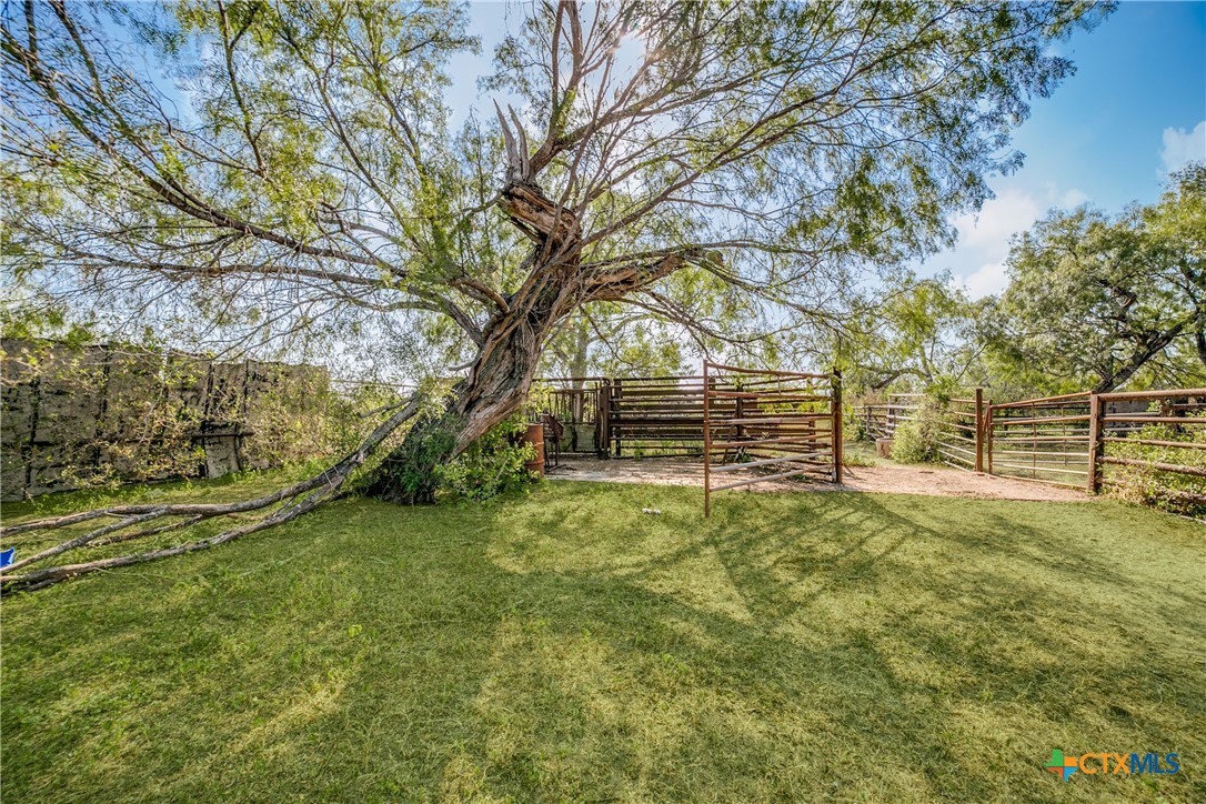 000 County Rd 145, Kenedy, Texas, 78119, United States, ,Land,For Sale,000 County Rd 145,1627629