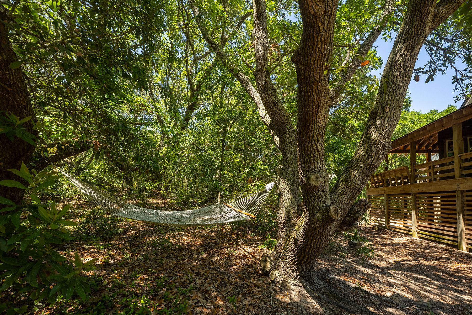  389 Sea Oats Trail, Kitty Hawk, NC 27949 - 物件實景