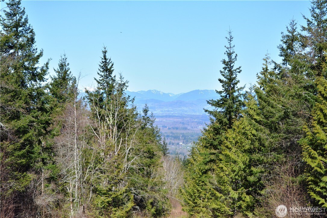 Bellingham, Washington, 98226, United States, ,Land,For Sale,1846536