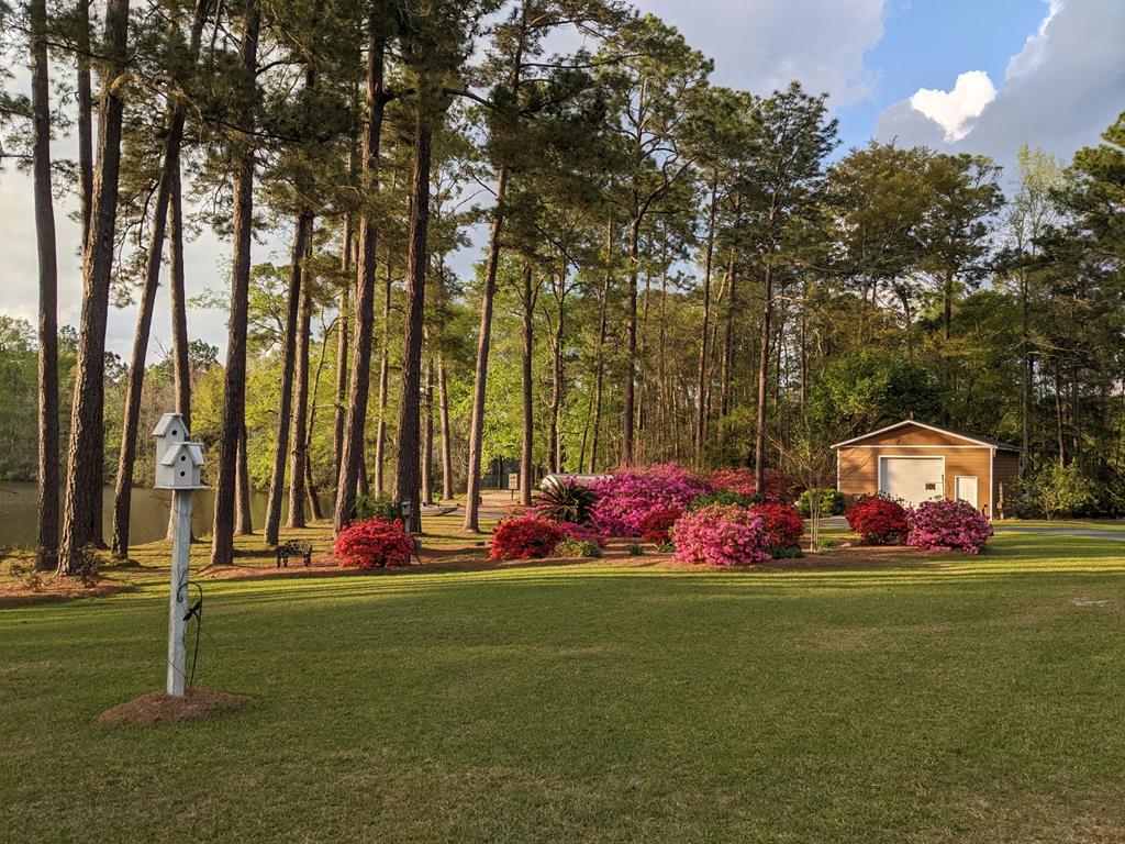 Chula, Georgia, 31733, United States, 4 Bedrooms Bedrooms, ,4 BathroomsBathrooms,Residential,For Sale,1979714