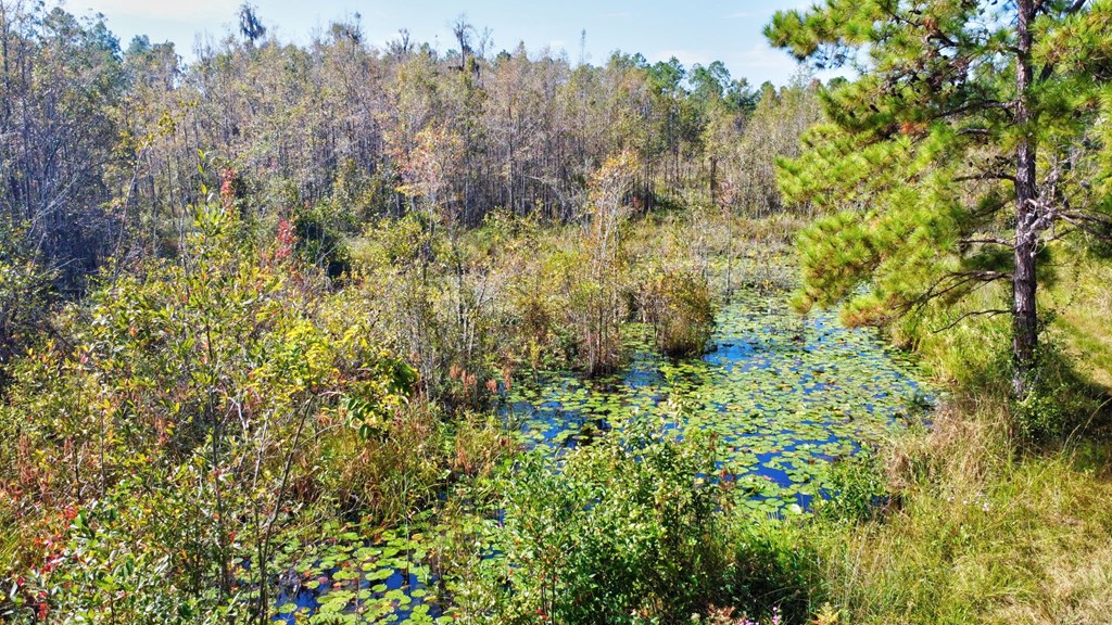 Valdosta, Georgia, 31601, United States, 4 Bedrooms Bedrooms, ,3 BathroomsBathrooms,Residential,For Sale,2005442
