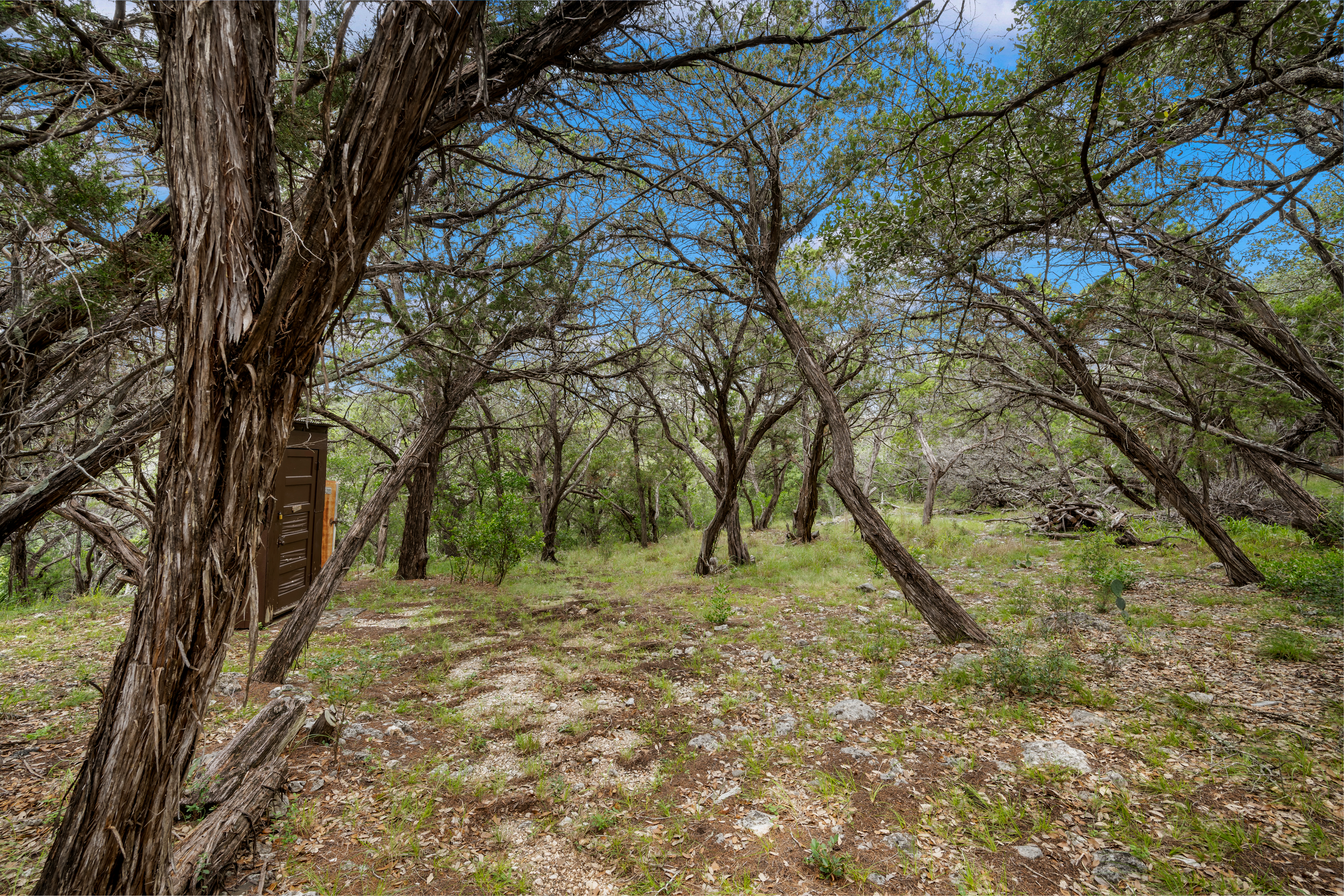  Medina Ranch  41.51 Acres - 物件實景