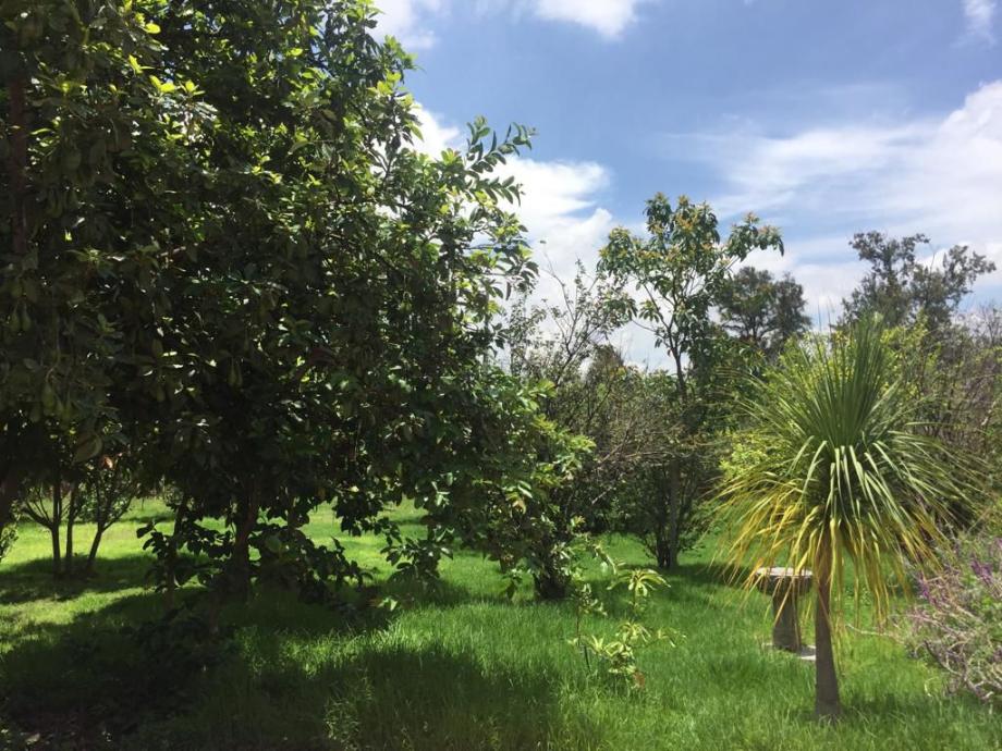 León, Guanajuato, 37683, Mexico, 1 Bedroom Bedrooms, ,Residential,For Sale,1917965