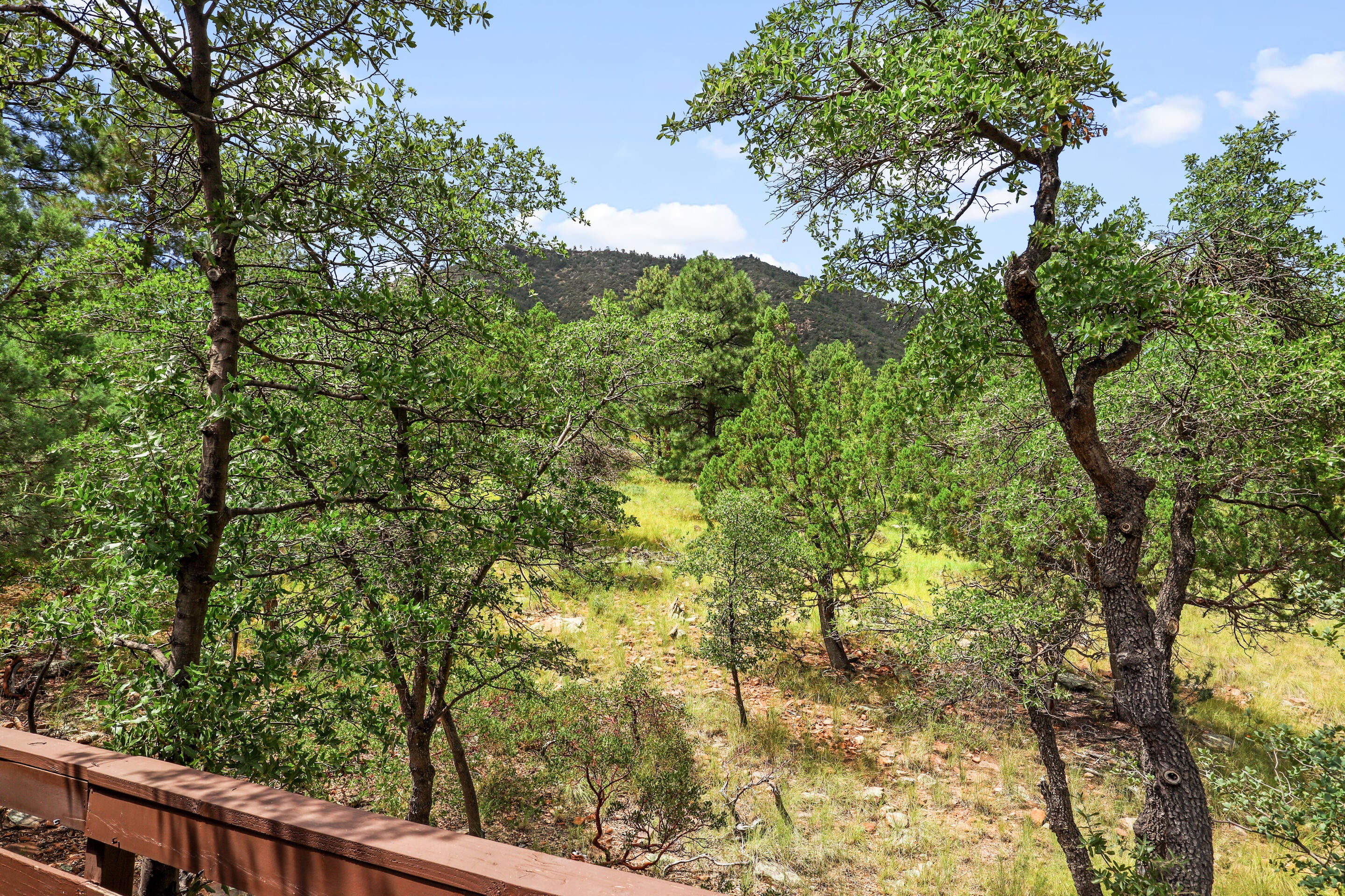 Pine, Arizona, 85544, United States, 2 Bedrooms Bedrooms, ,1 BathroomBathrooms,Residential,For Sale,1942026