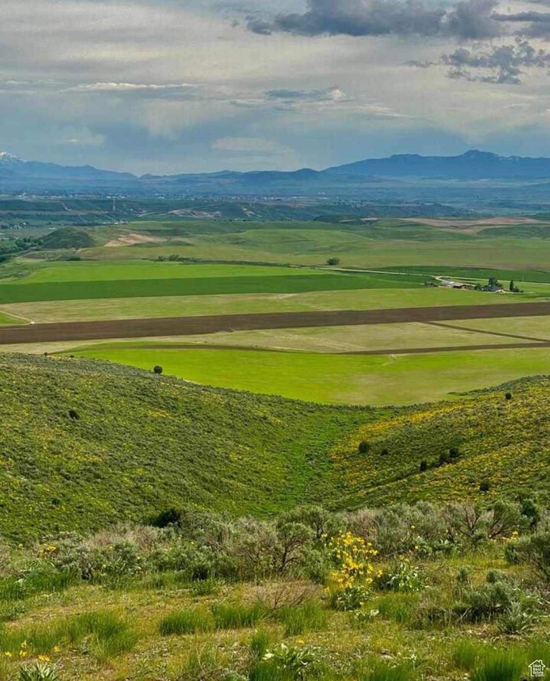 Preston, Idaho, 83263, United States, ,Residential,For Sale,1920946