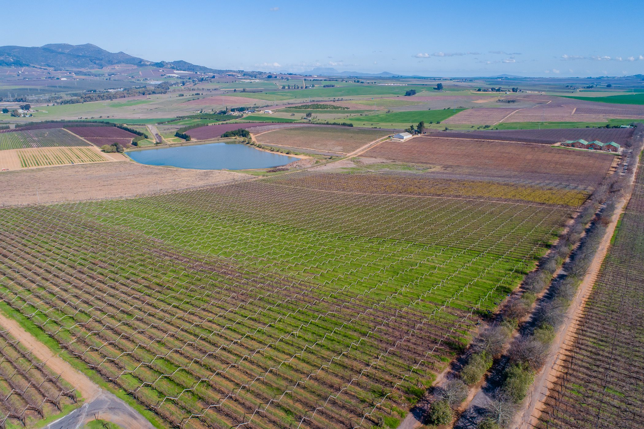  Wellington Export Farm - 物件實景